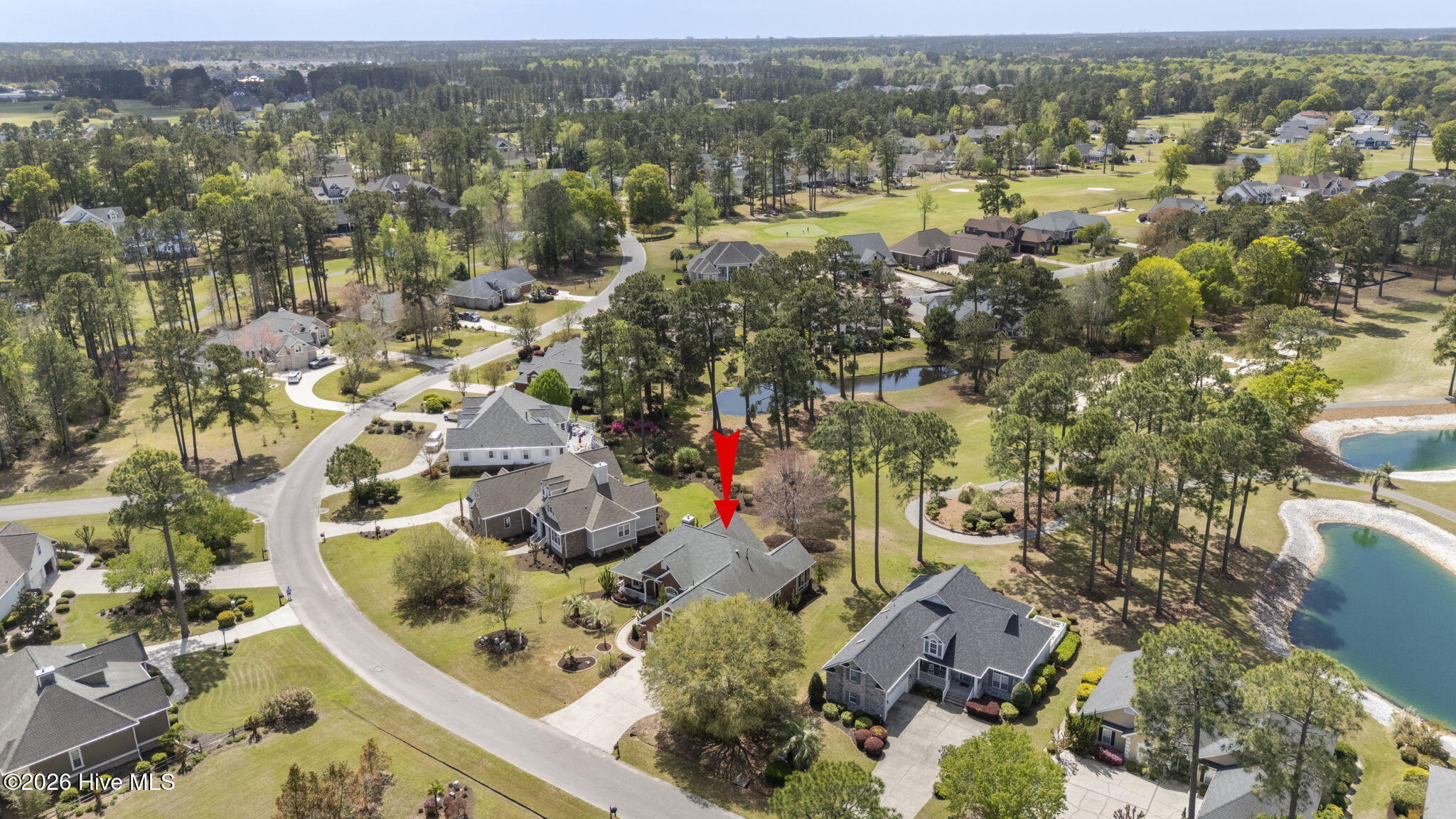 100563951 | Photo 56