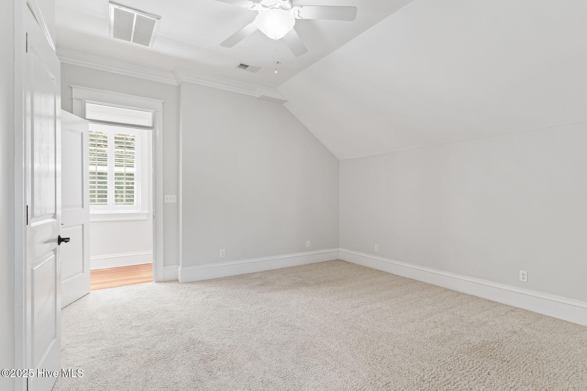 100512246 | Photo 47