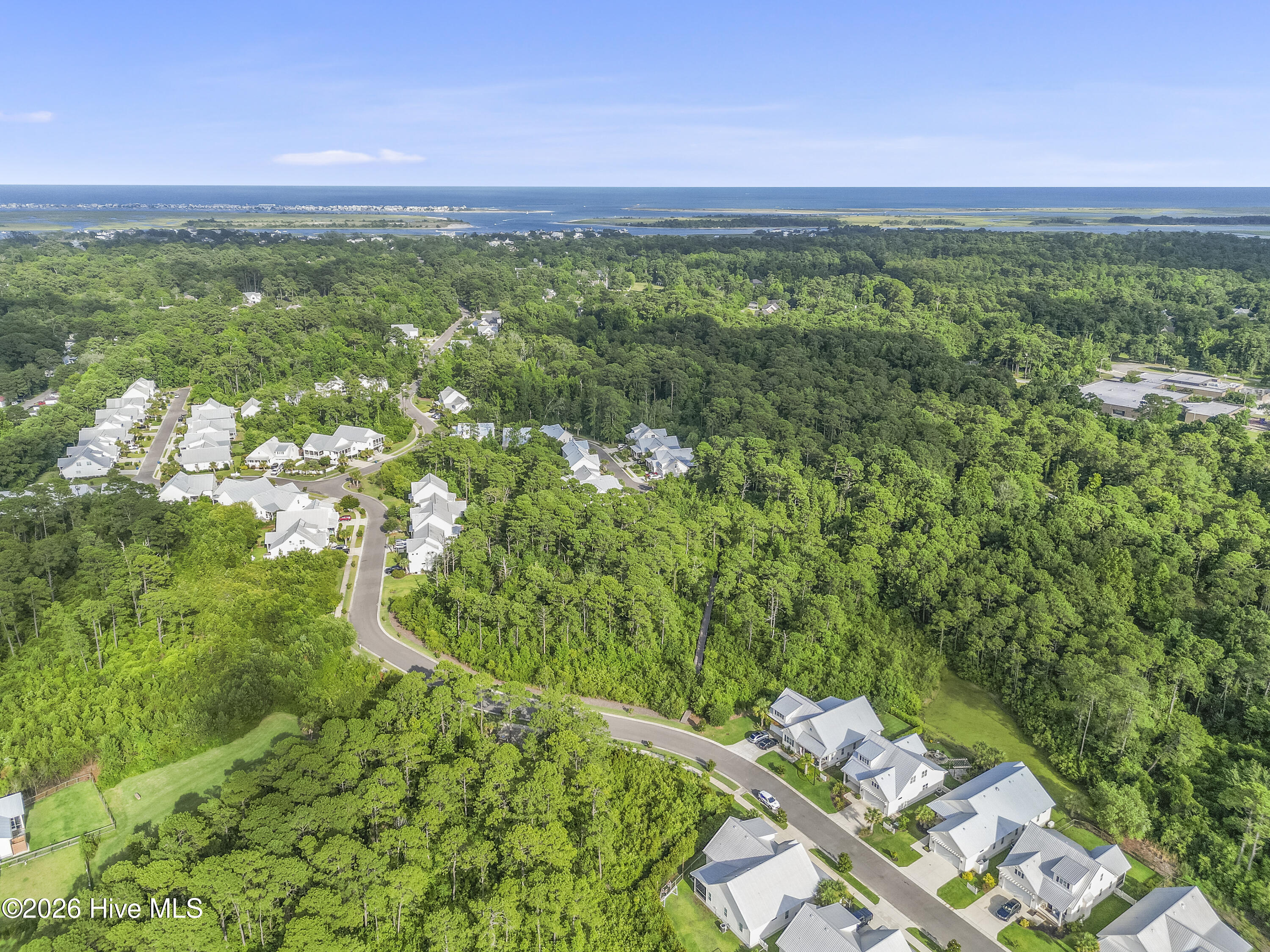 100565220 | Photo 83