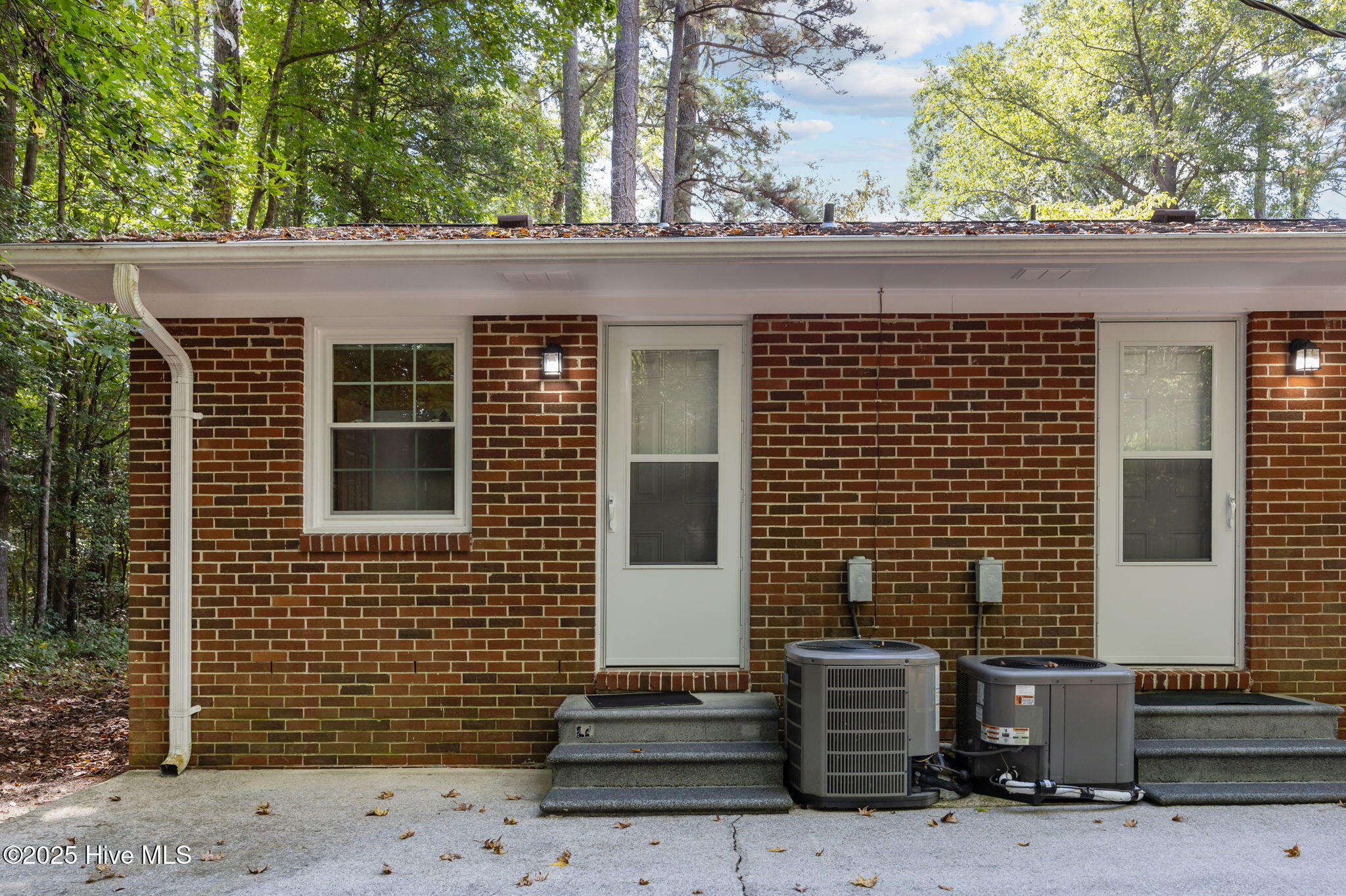 100555564 | Photo 12