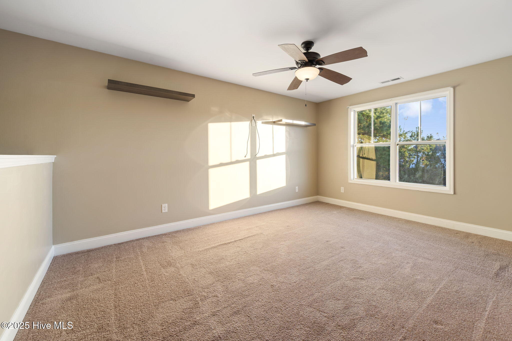 100546539 | Photo 25