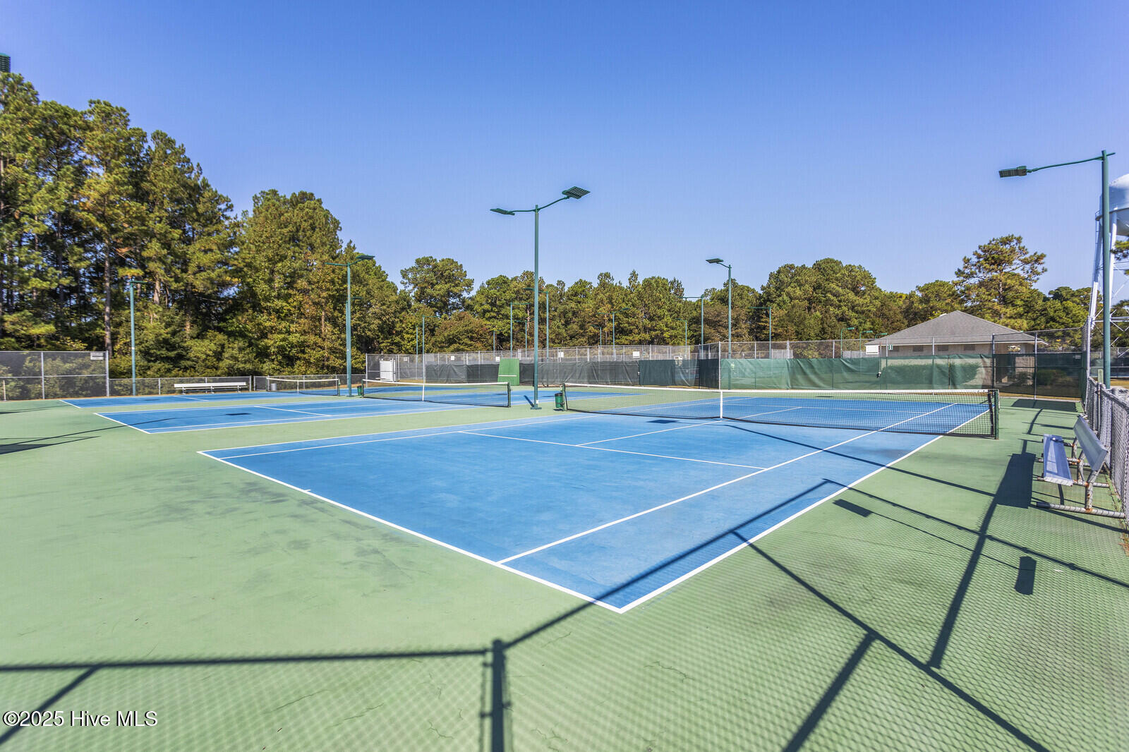 100479691 | Photo 35