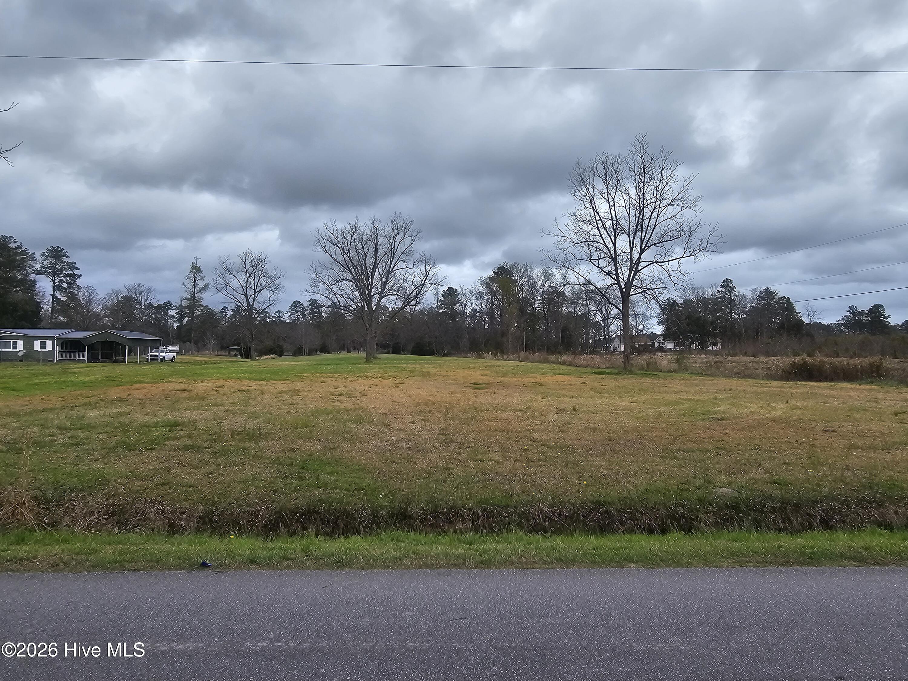 251 Alligator Loop, Merritt, North Carolina, 0 ,Residential land,For sale,Alligator Loop,100561642