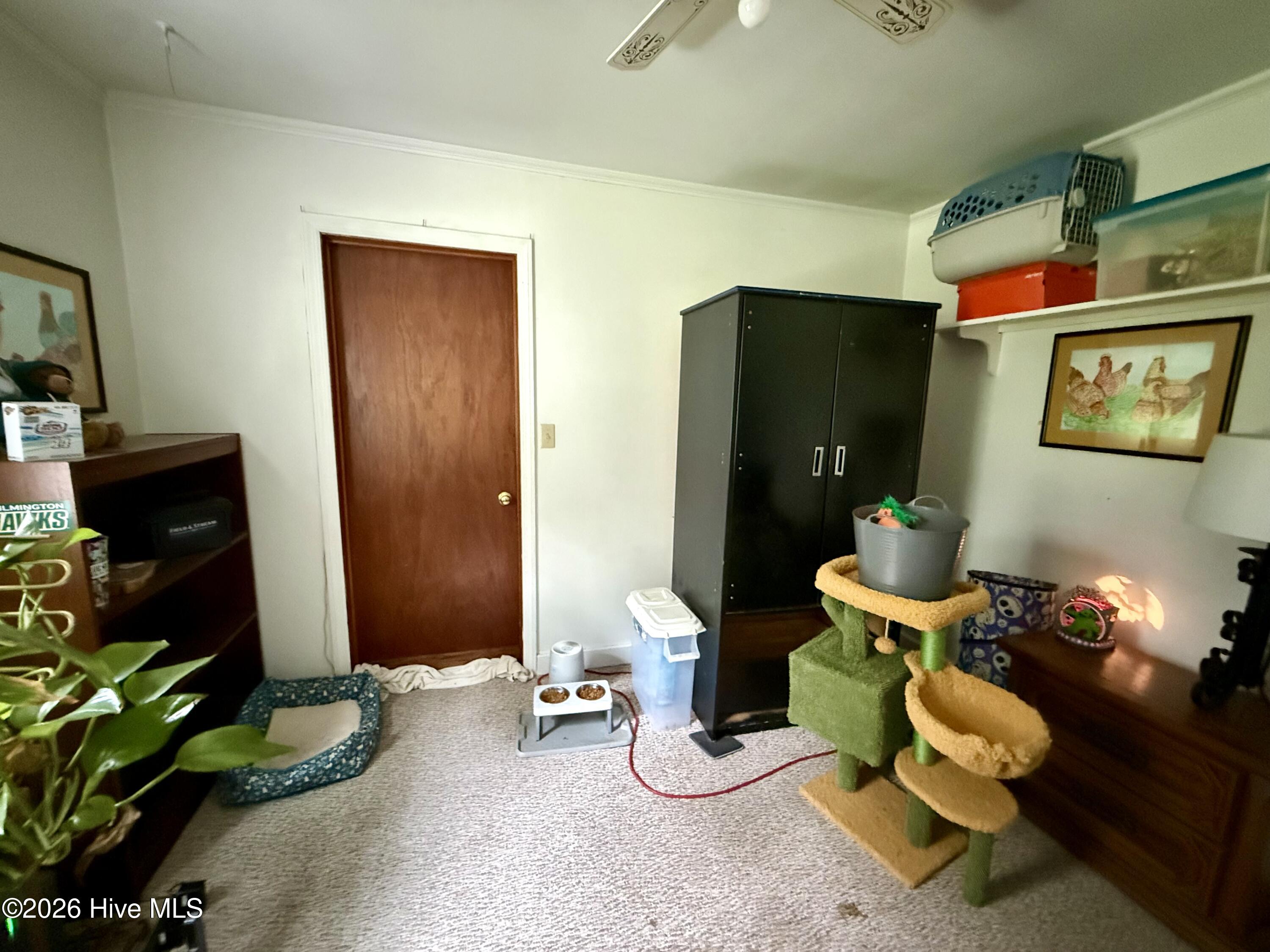 238 Old Nassau Road,Williston