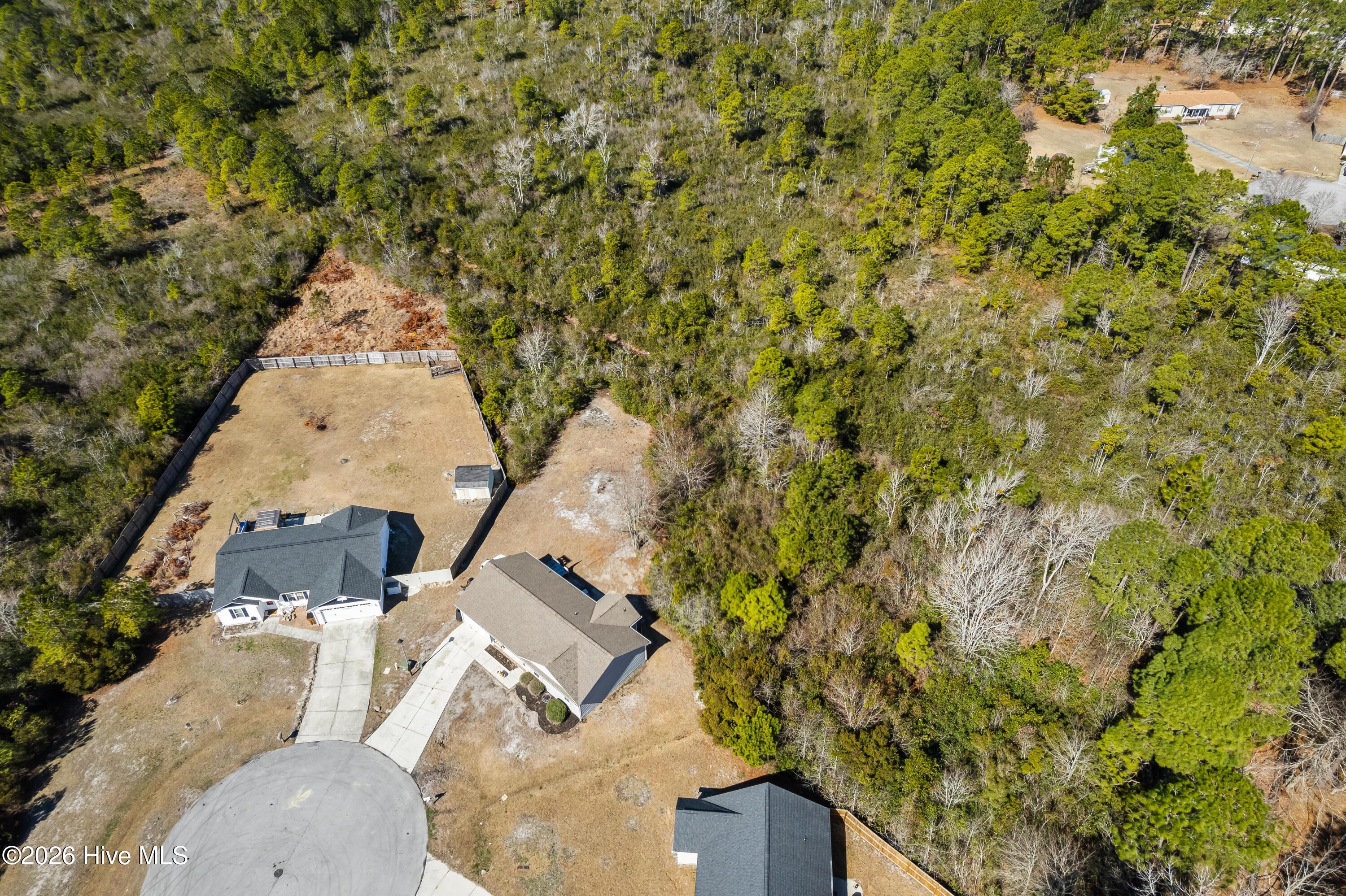 100558197 | Photo 22