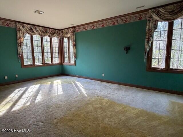 100551549 | Photo 36