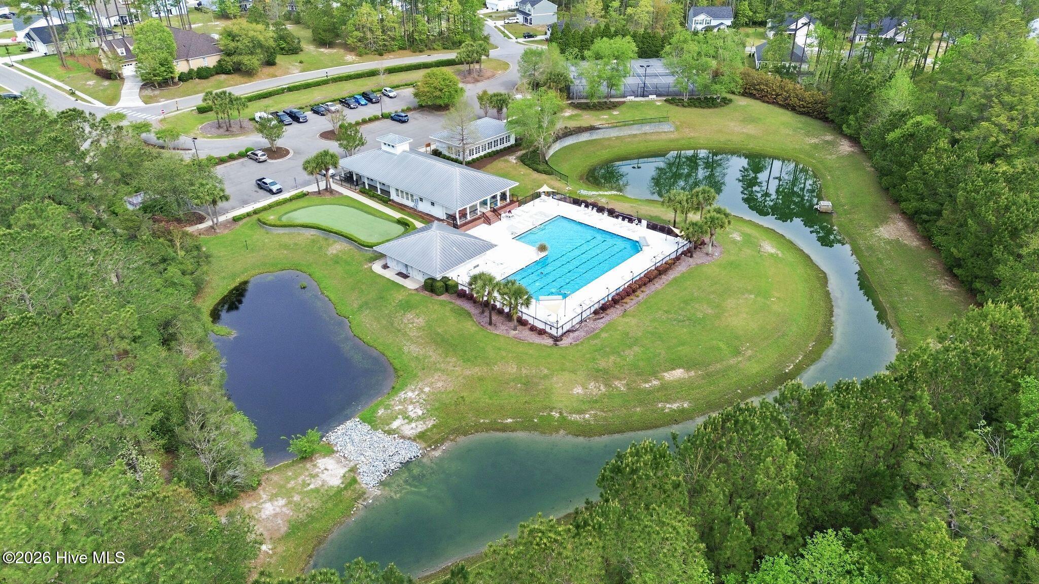 100565267 | Photo 14