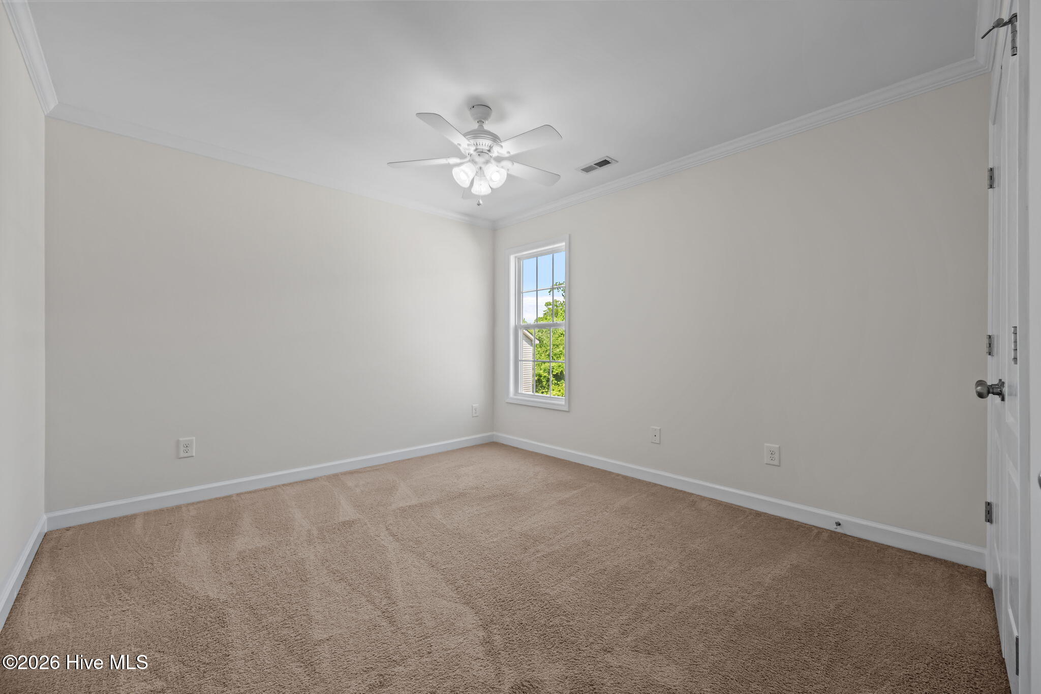 100570344 | Photo 29