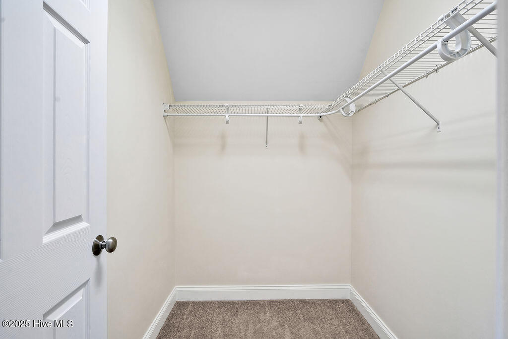 100550184 | Photo 34