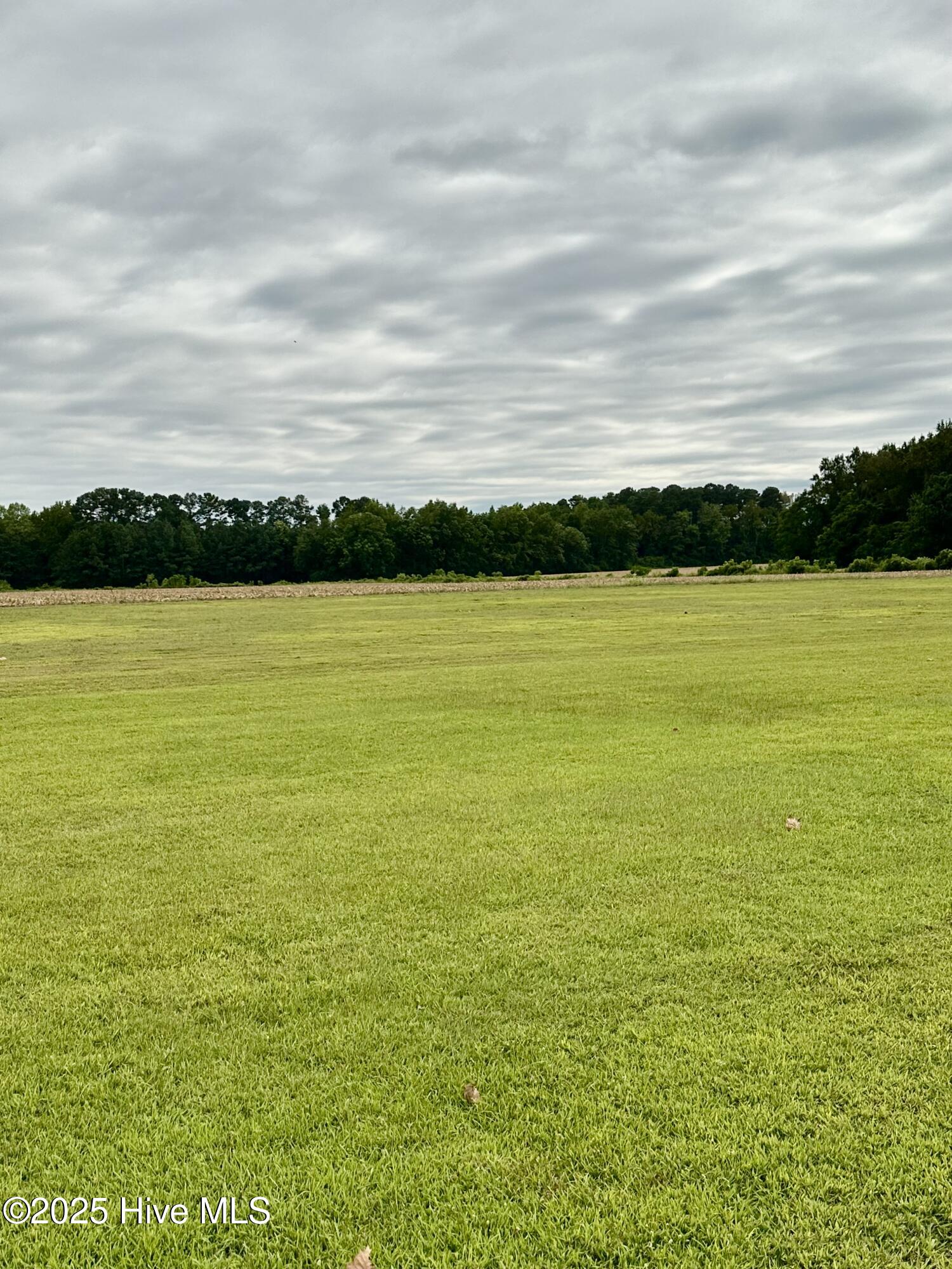 146 Cherry Street, Cerro Gordo, NC, 28430