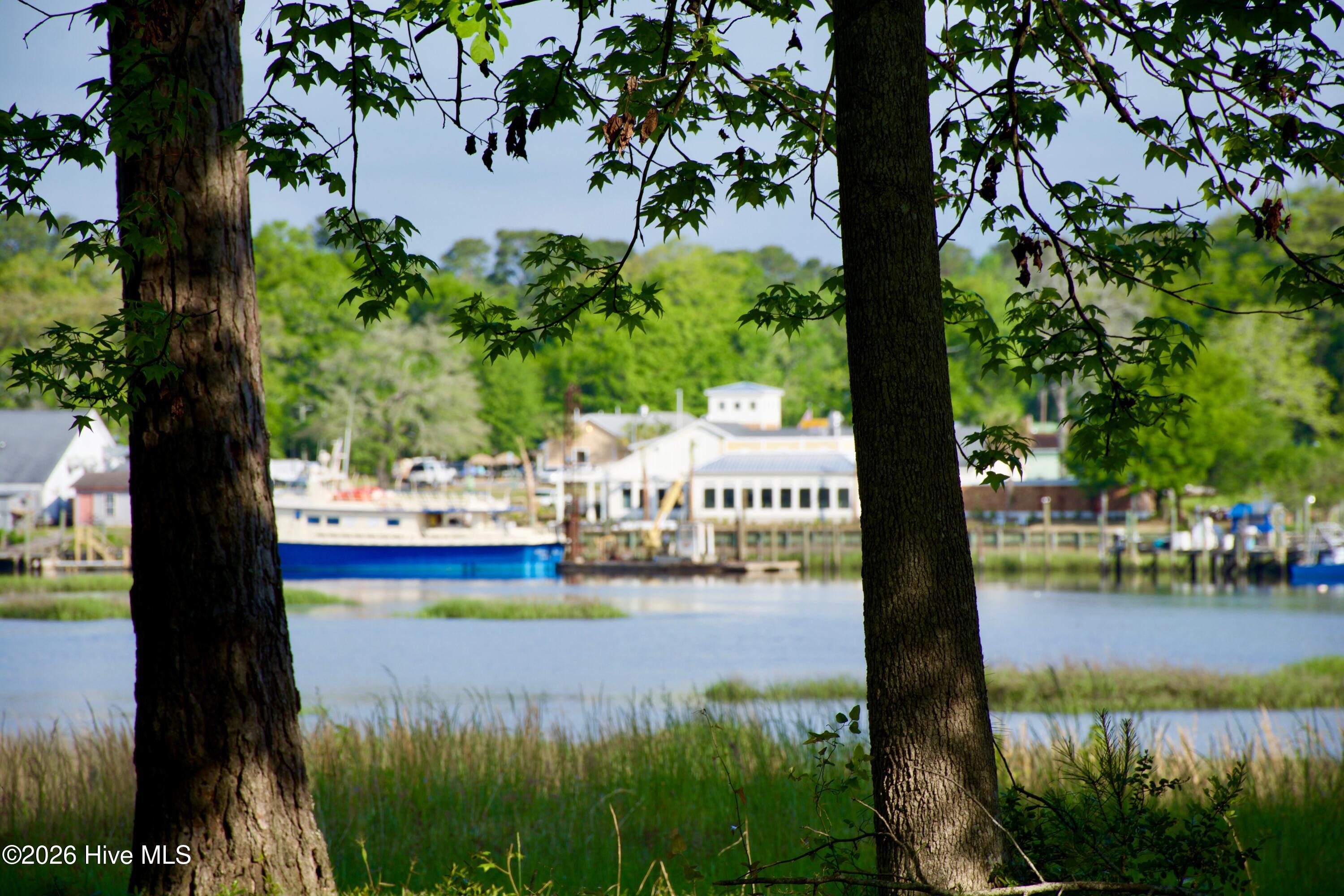 100558493 | Photo 11