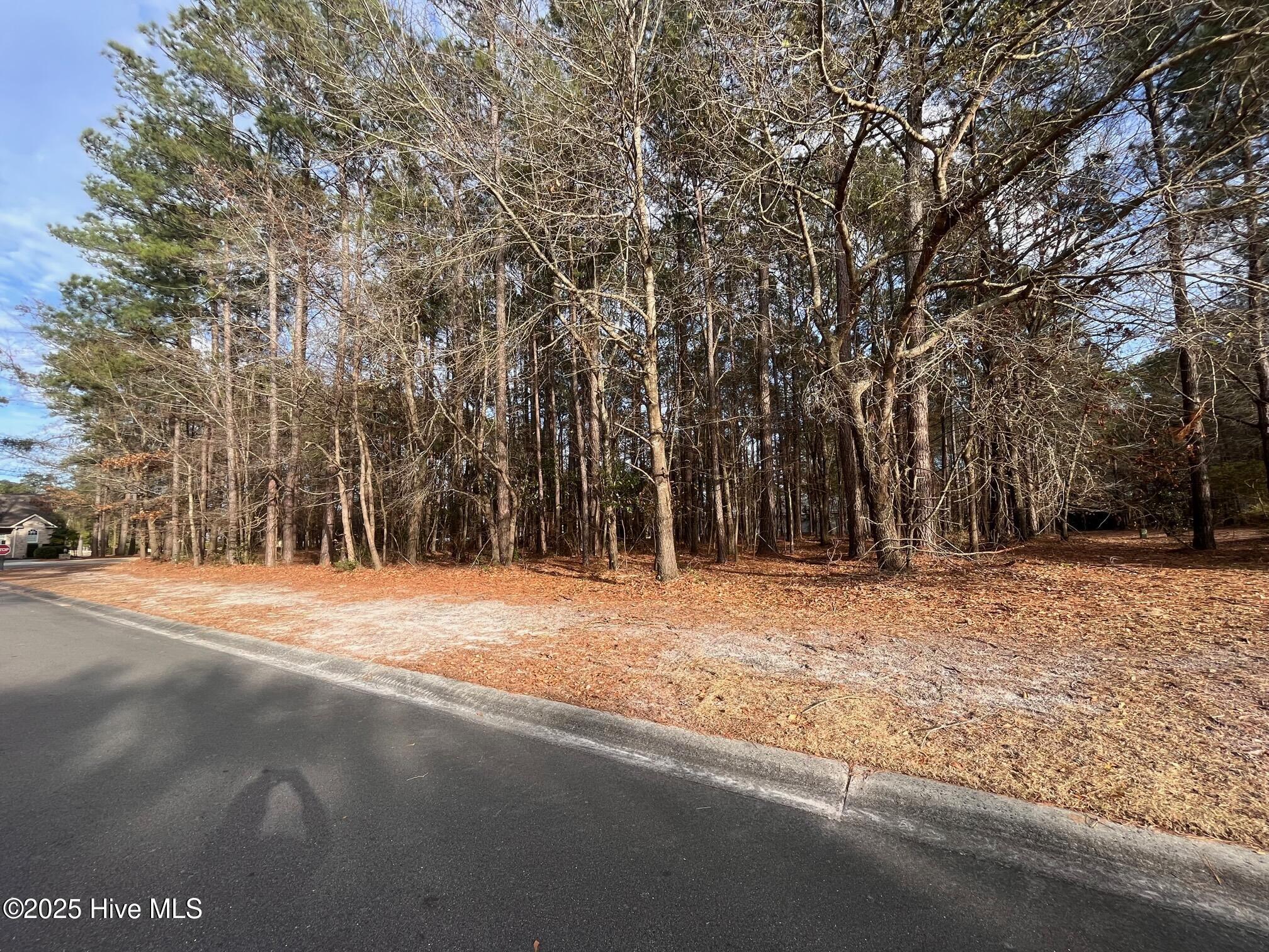 264 Red Fox Run Drive, Wallace, NC, 28466