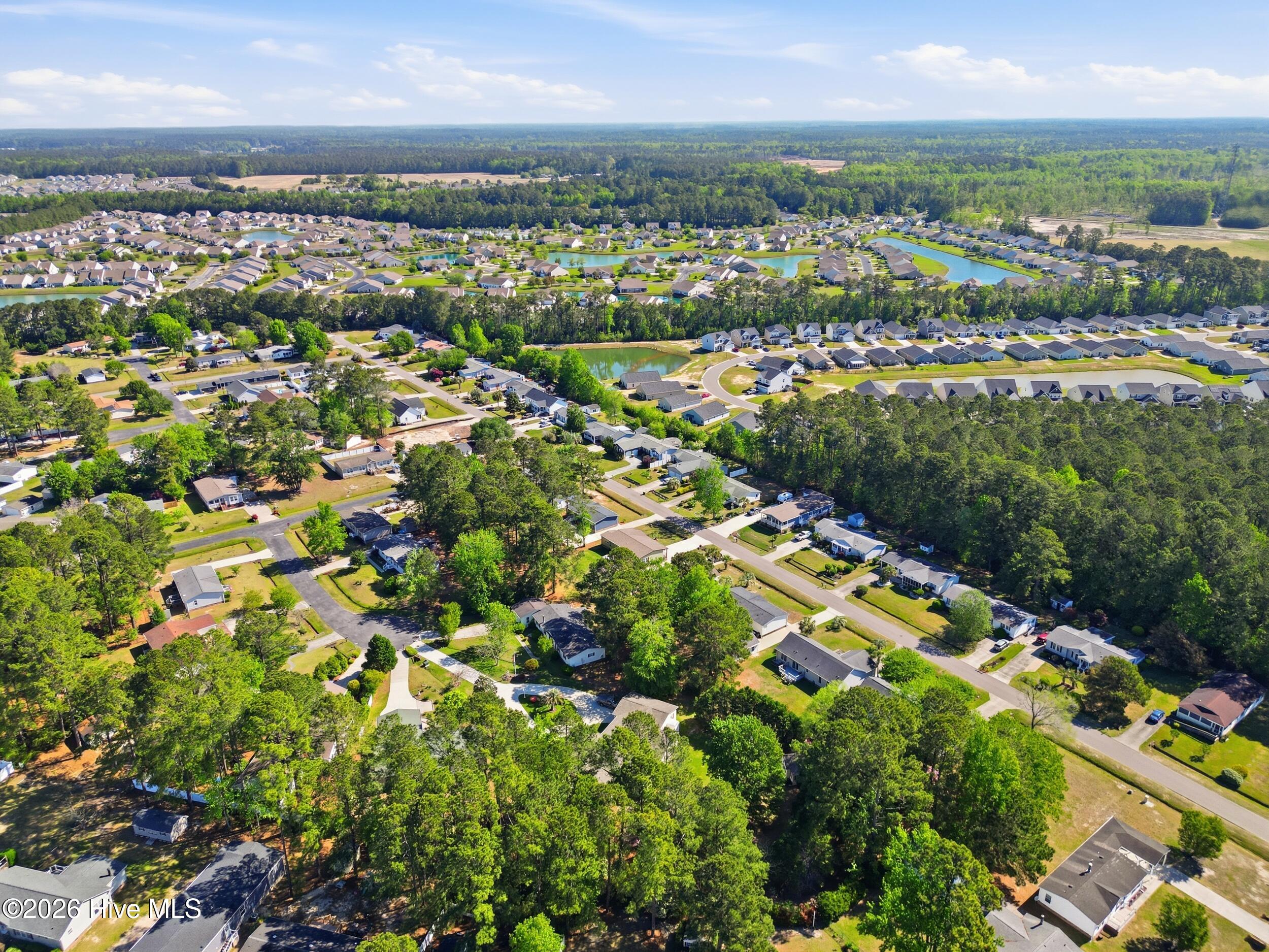 100567202 | Photo 40