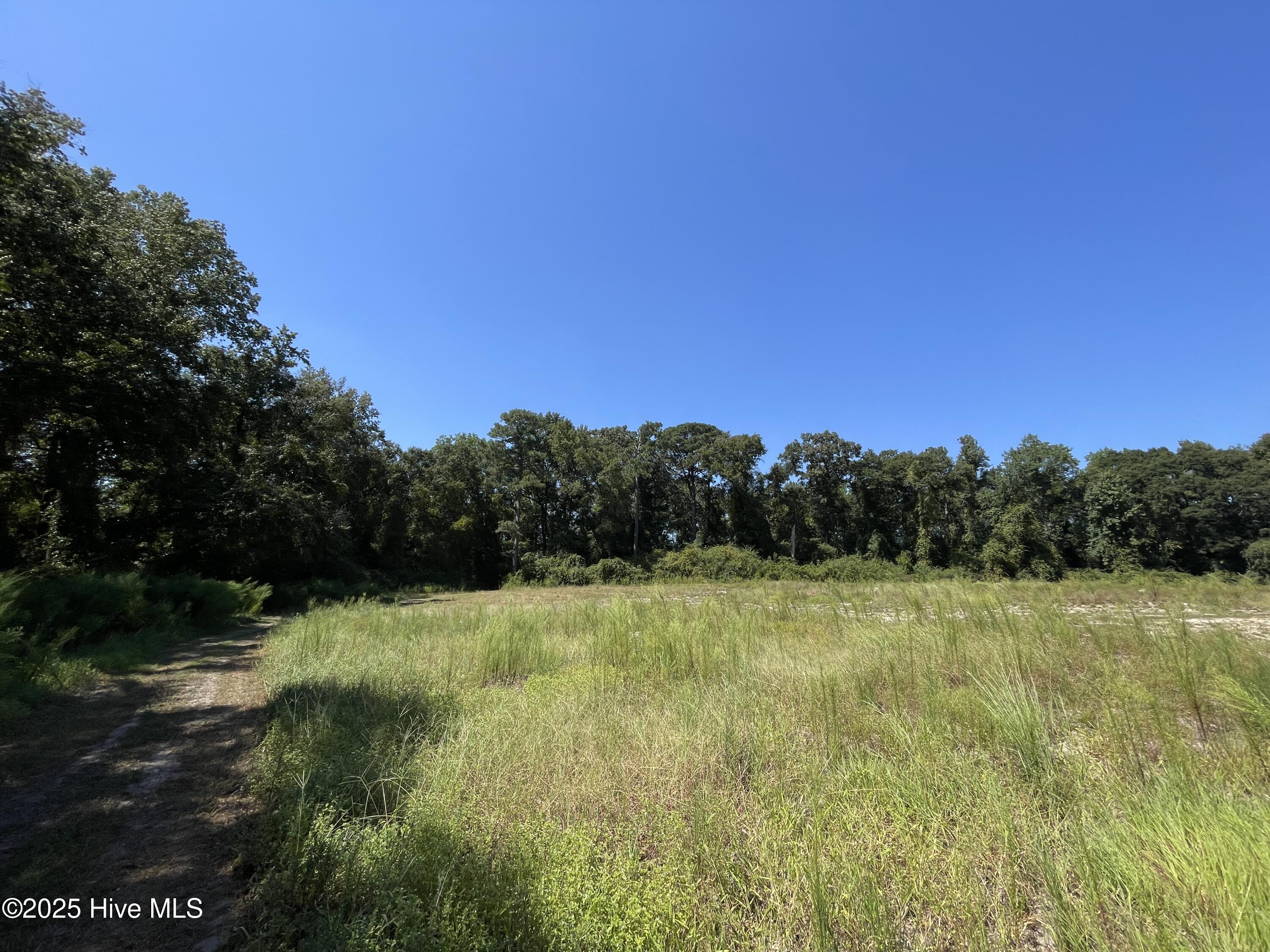 Homes for sale in Clinton, NC | 000 Sandy Ln, Clinton, NC 28328 | MLS# 100543691