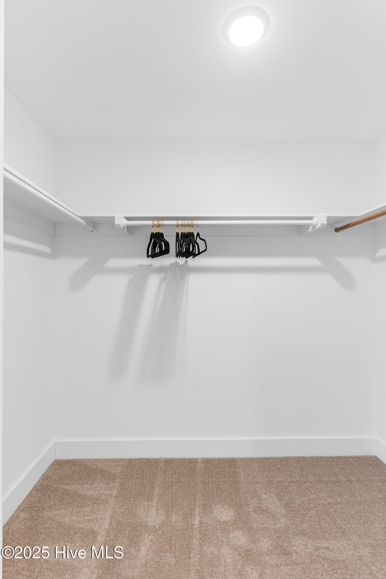 100554905 | Photo 22