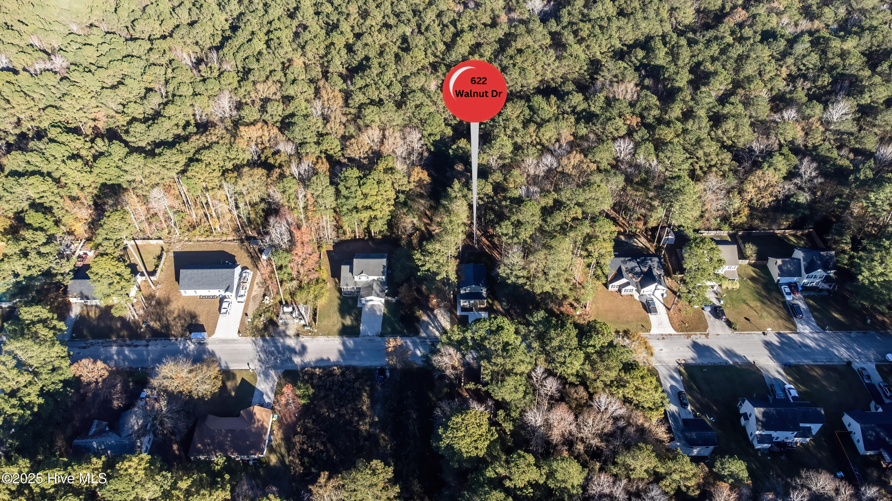 100538278 | Photo 46