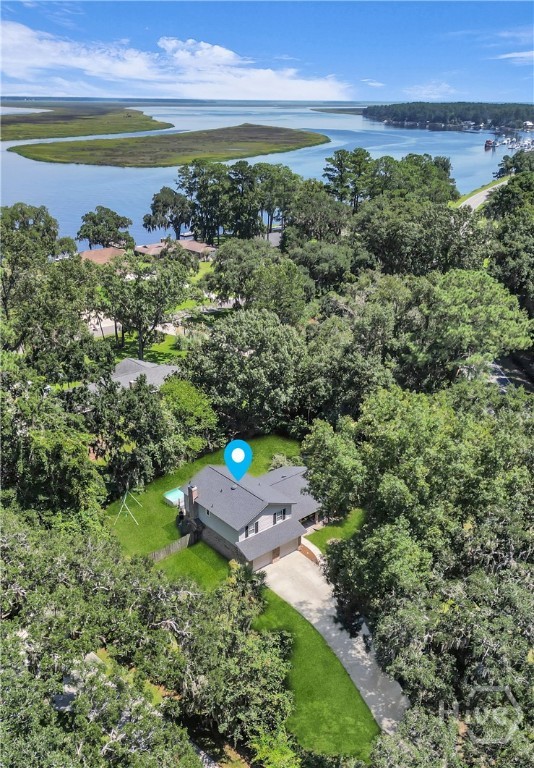 *Grass Virtually Enhanced*