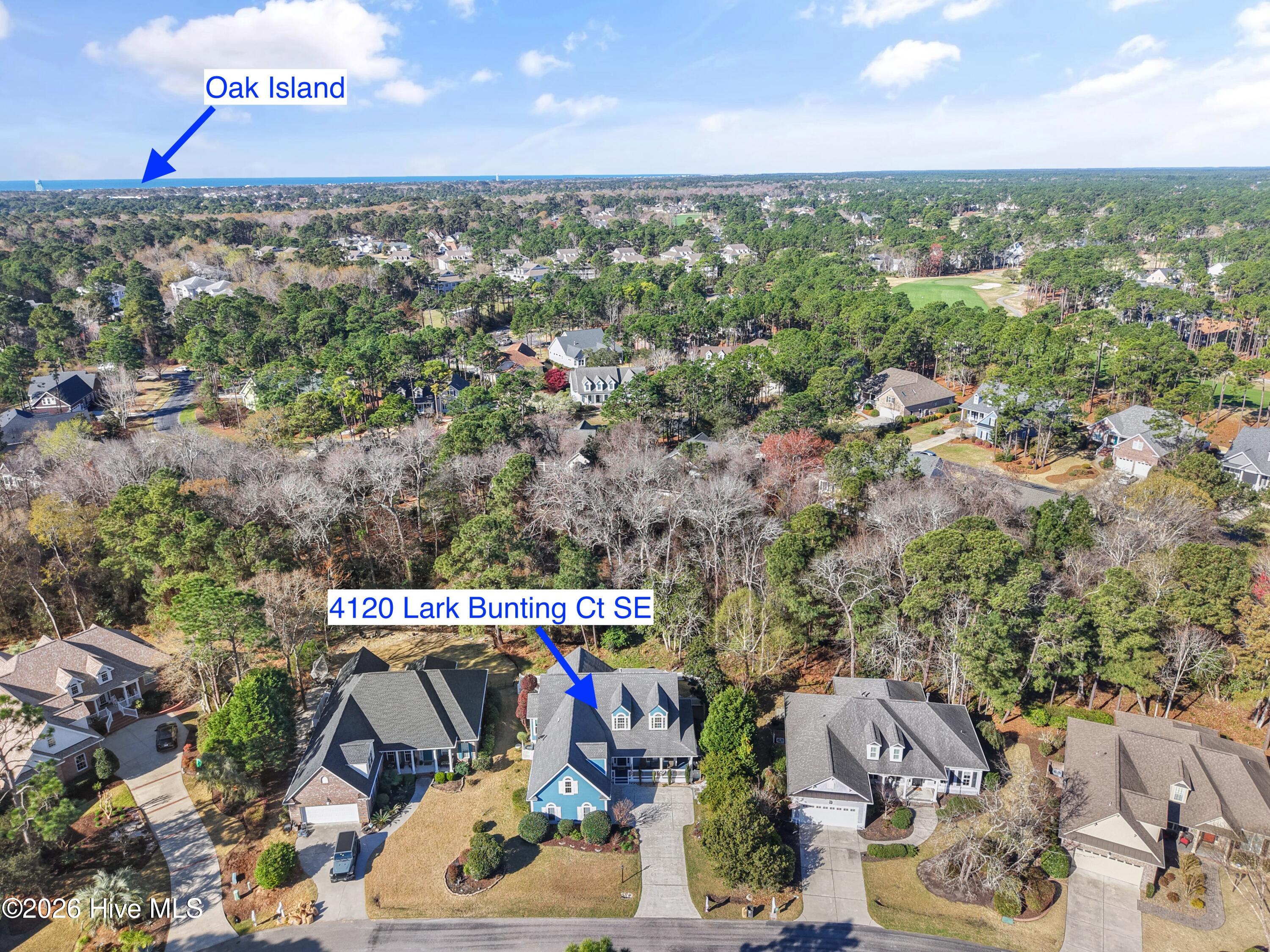 100561490 | Photo 51