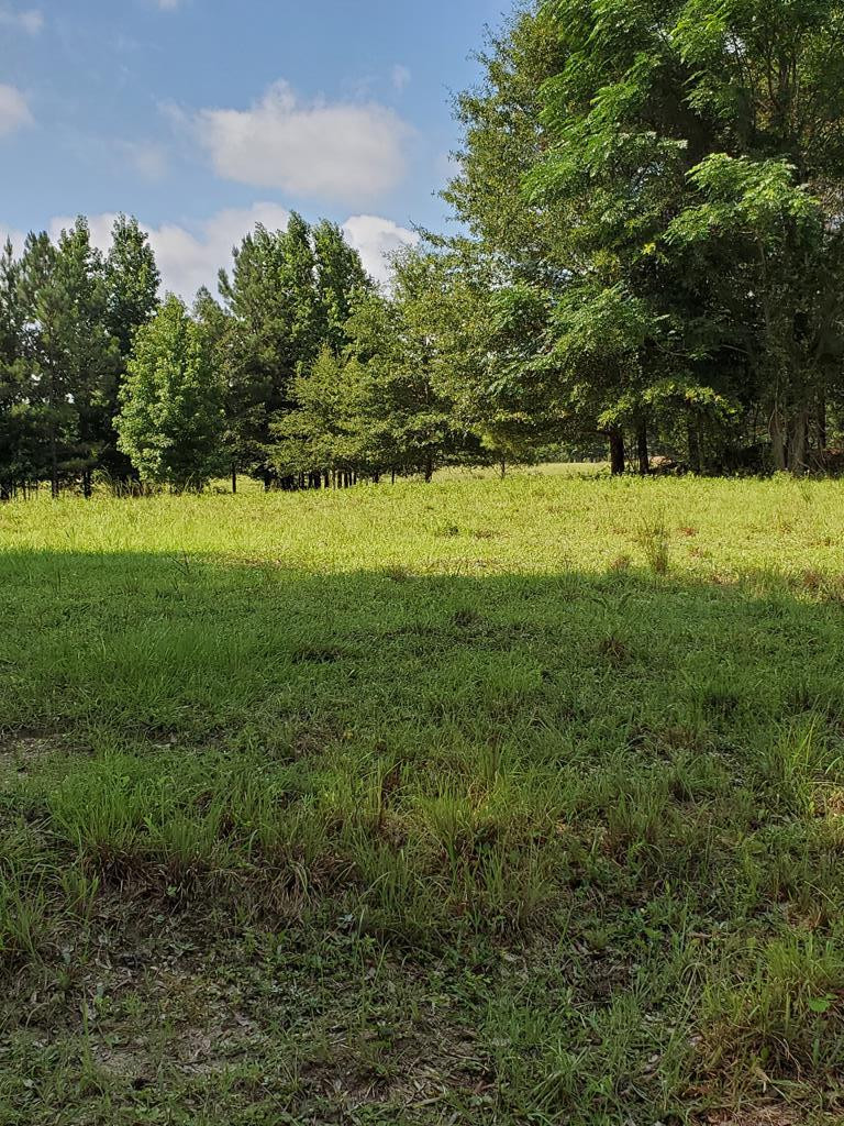 4918 Wrens Highway, Thomson, GA 30824 Listing Photo  39