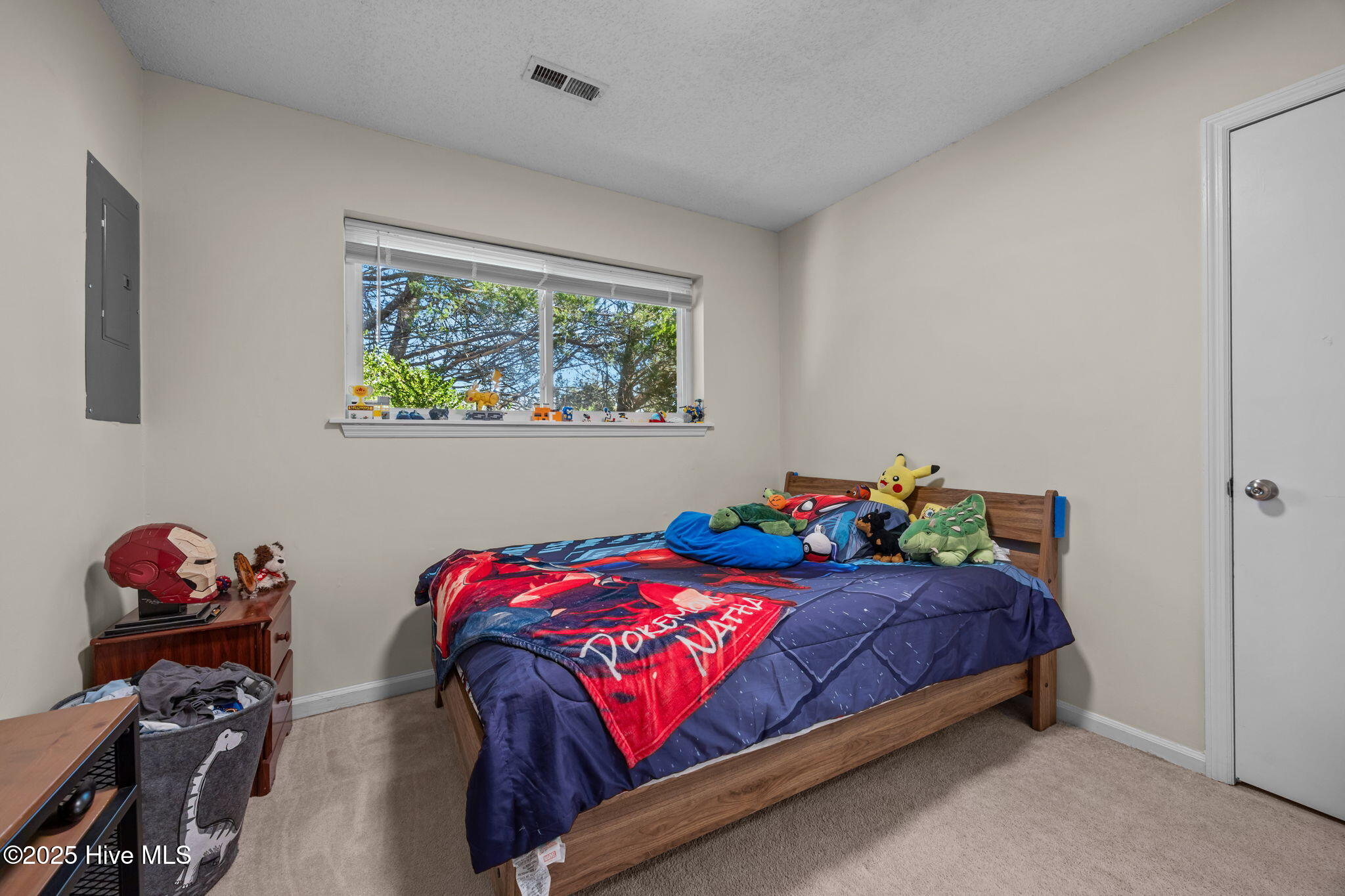 100515251 | Photo 16