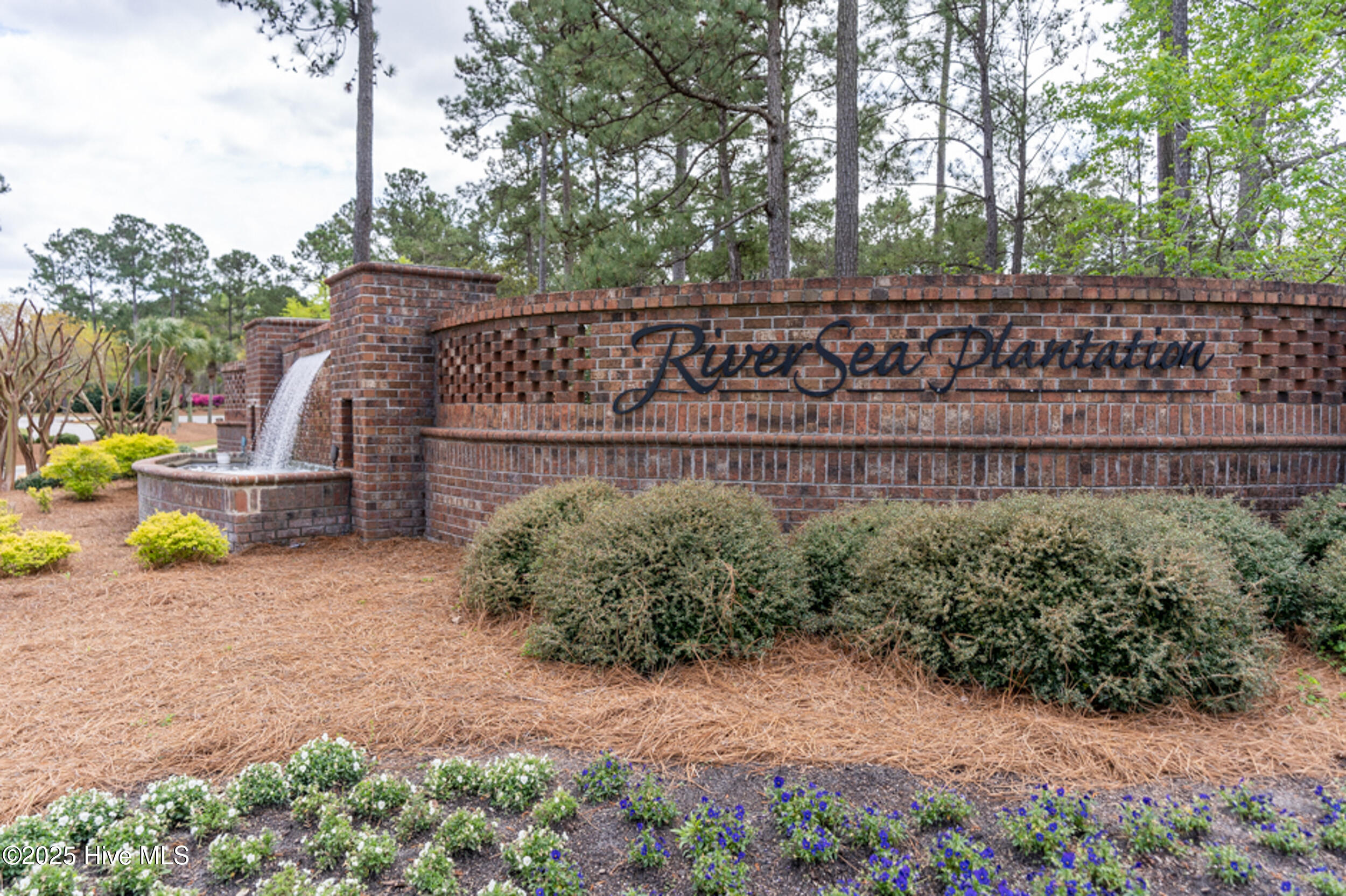 100527570 | Photo 39