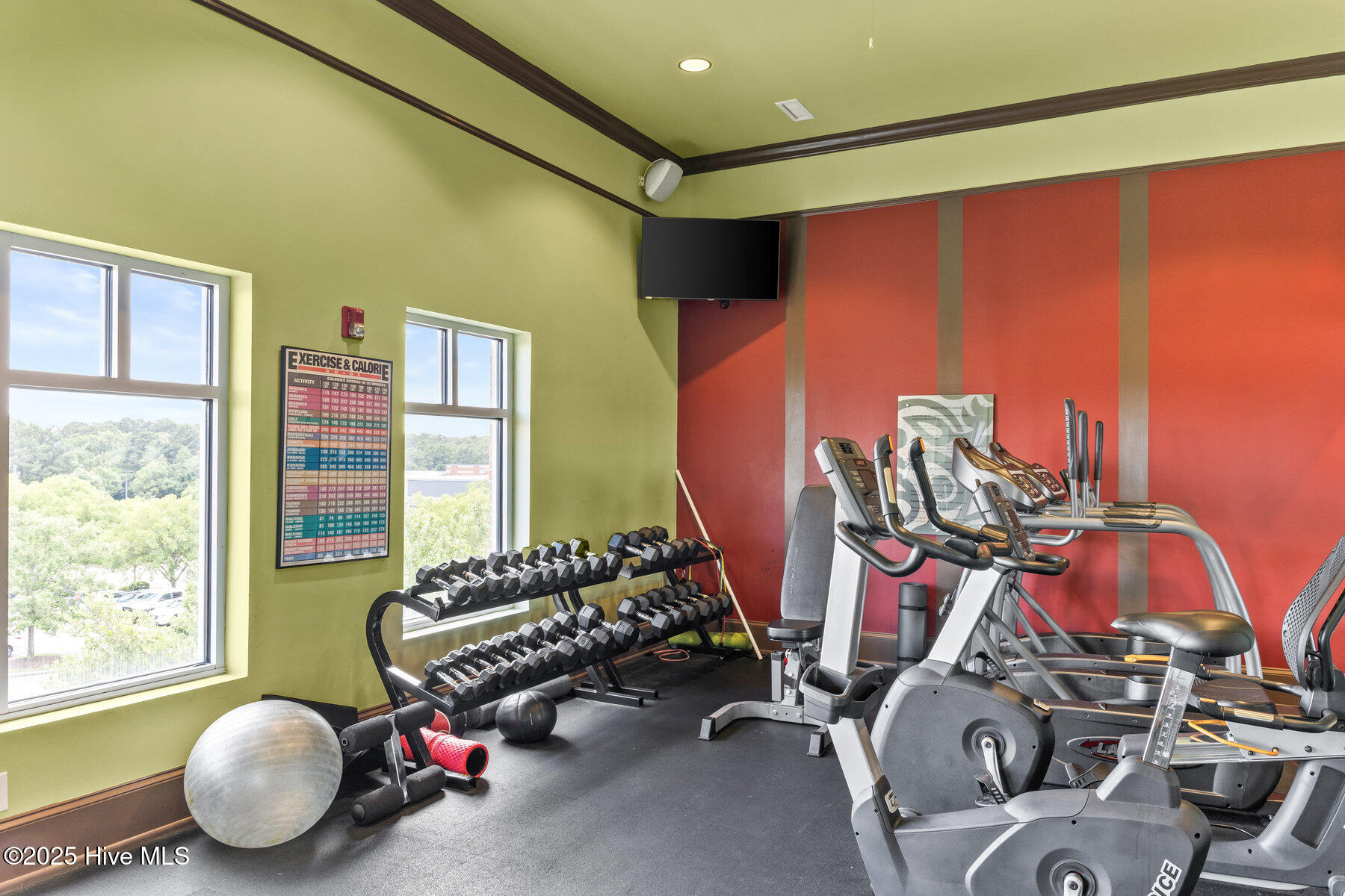 100518149 | Photo 30