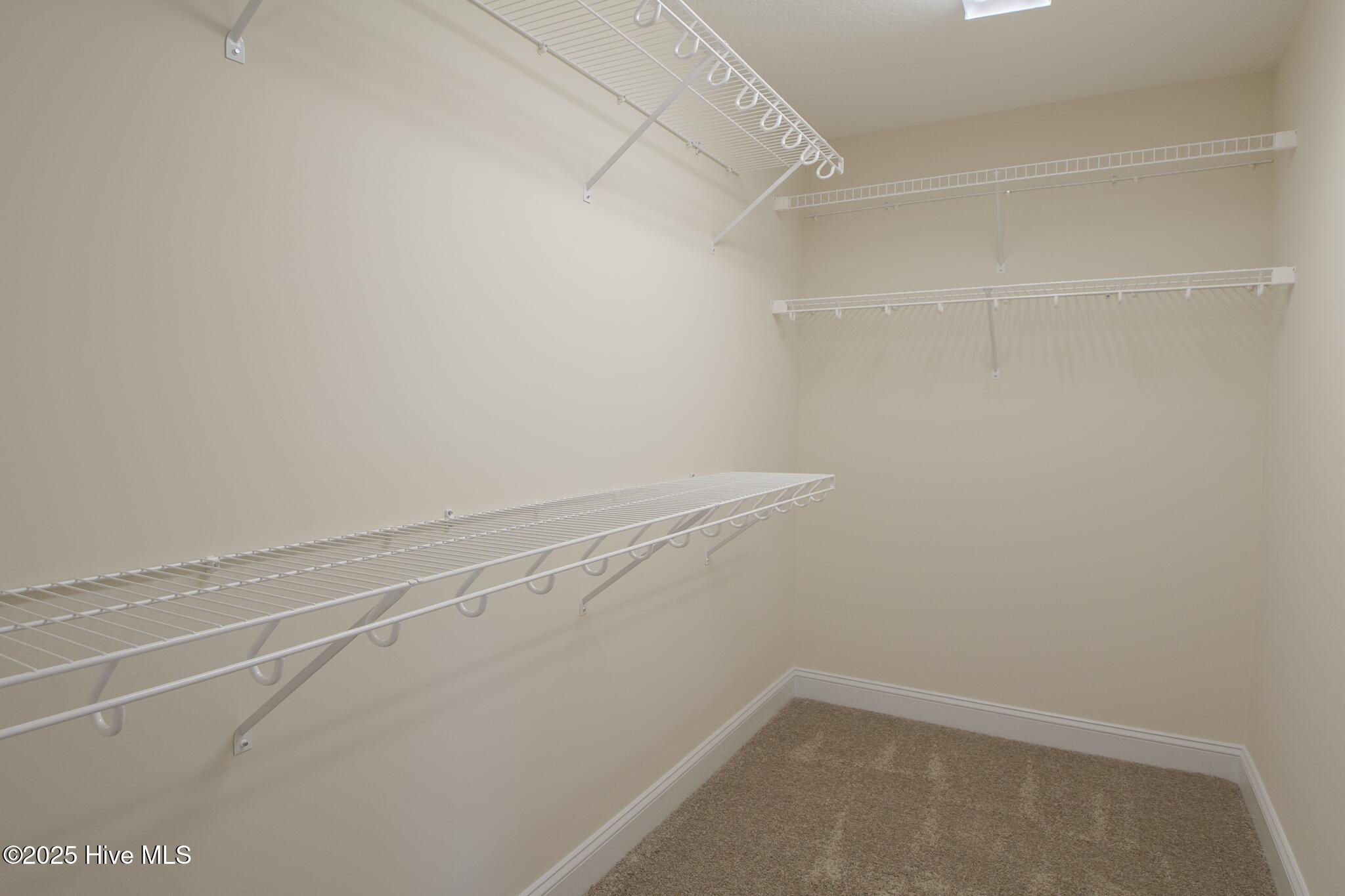 100503202 | Photo 20