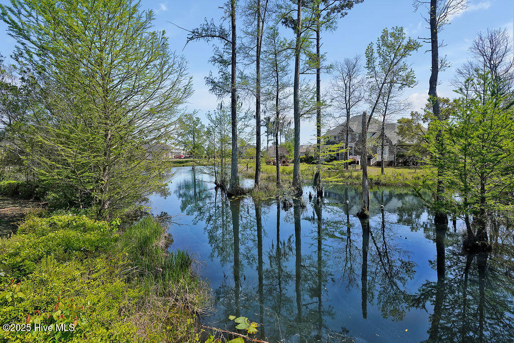 100531684 | Photo 63