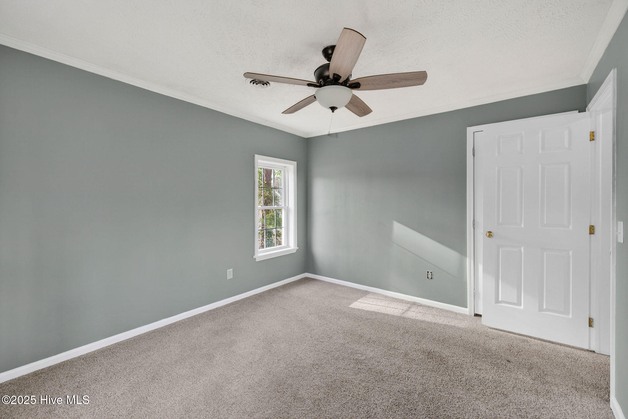 100546222 | Photo 31