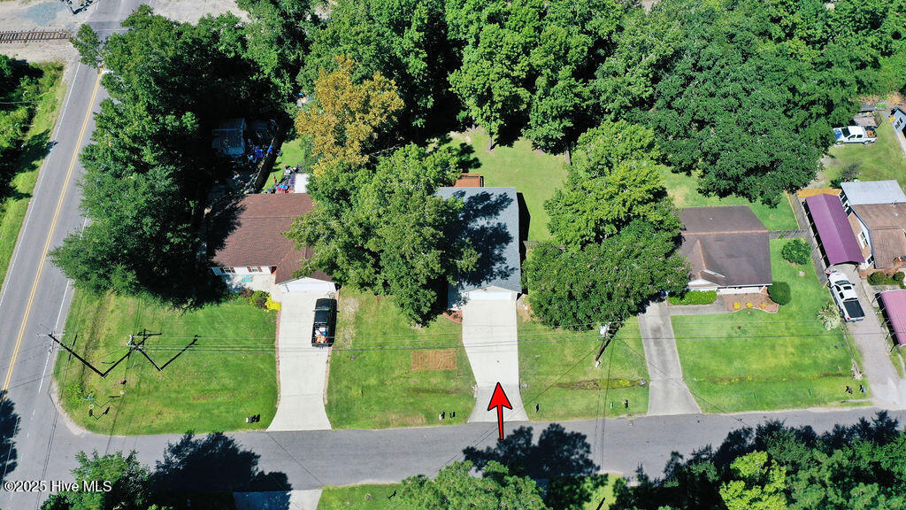 100523665 | Photo 23