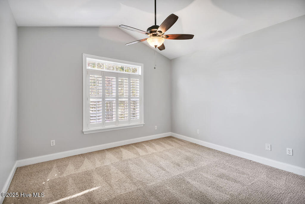 100536822 | Photo 25