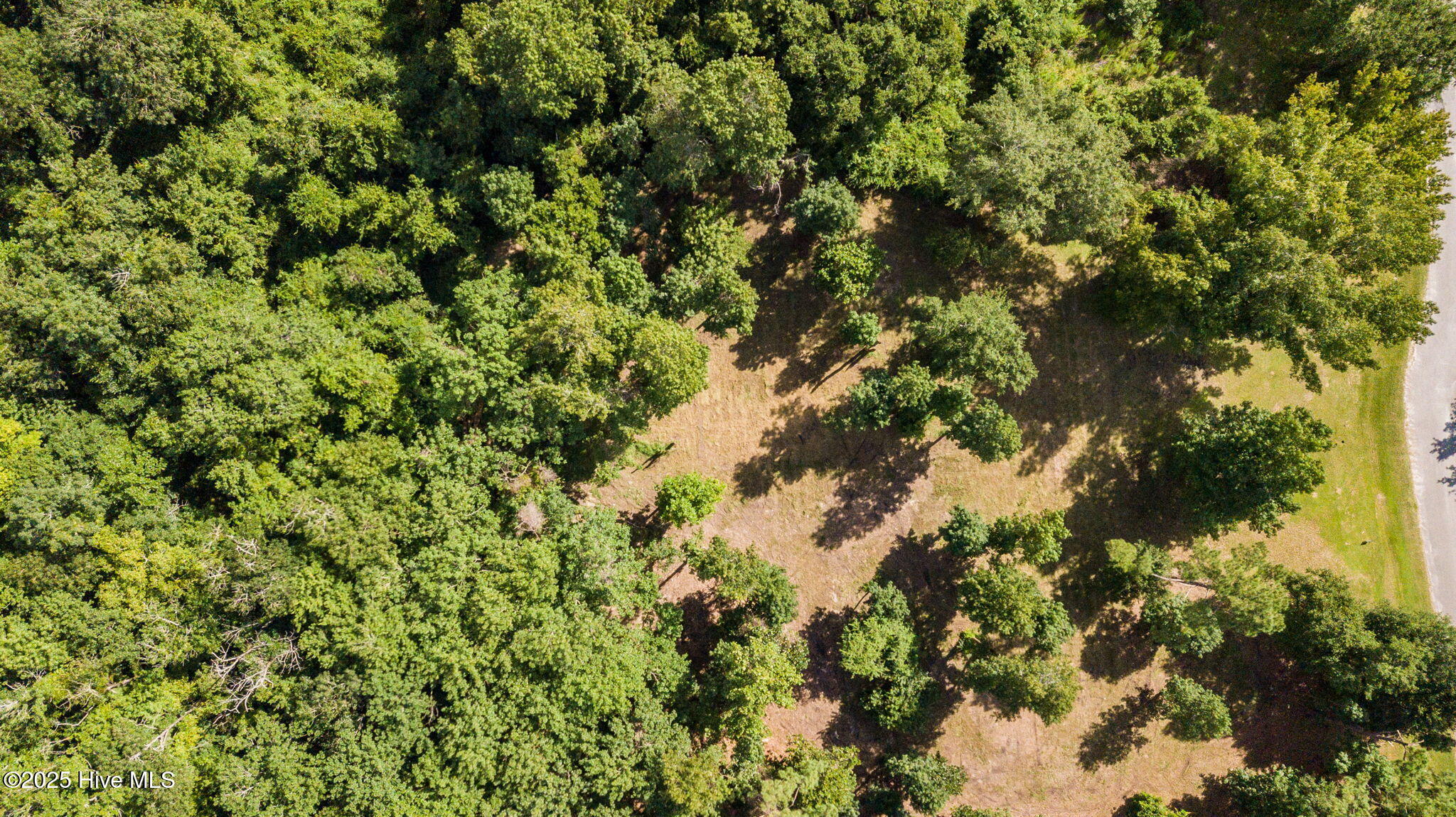 100524642 | Photo 19