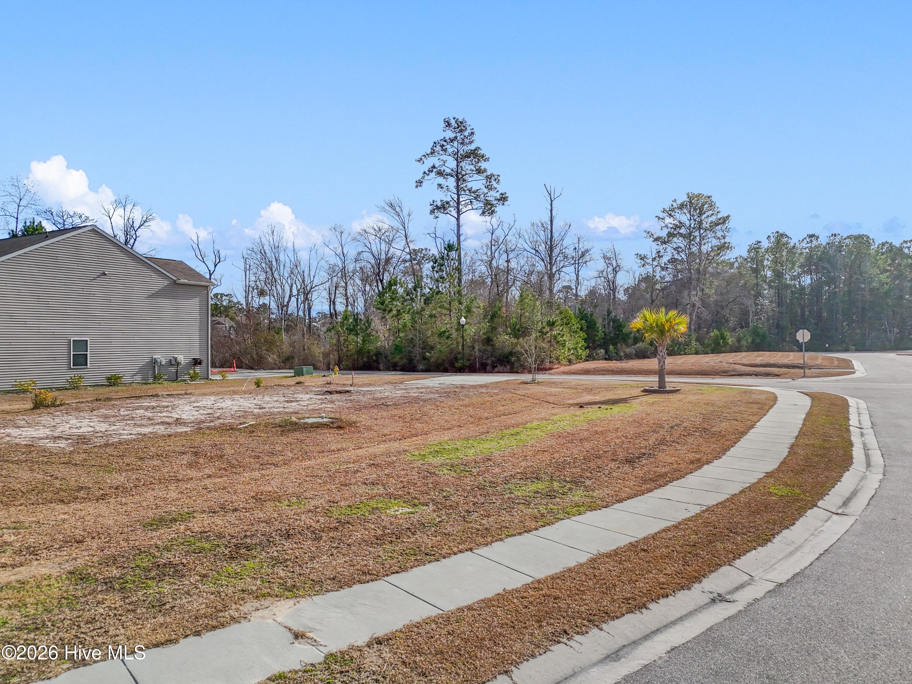 100551003 | Photo 12