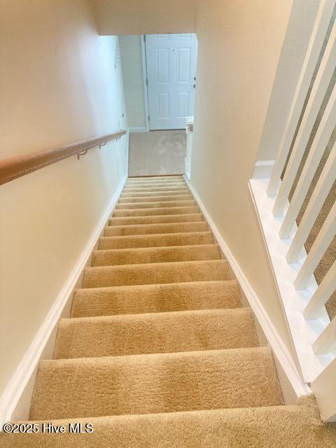 100517374 | Photo 10