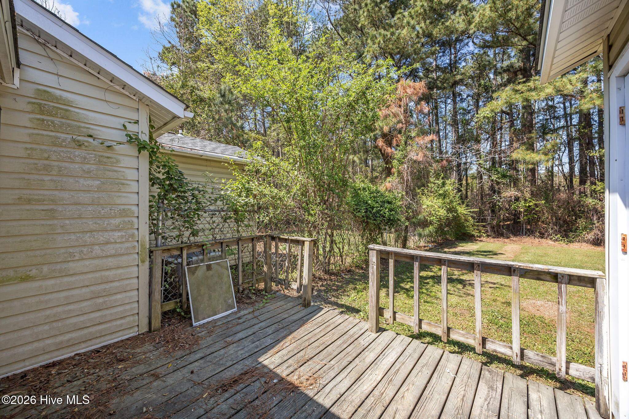 100563578 | Photo 42