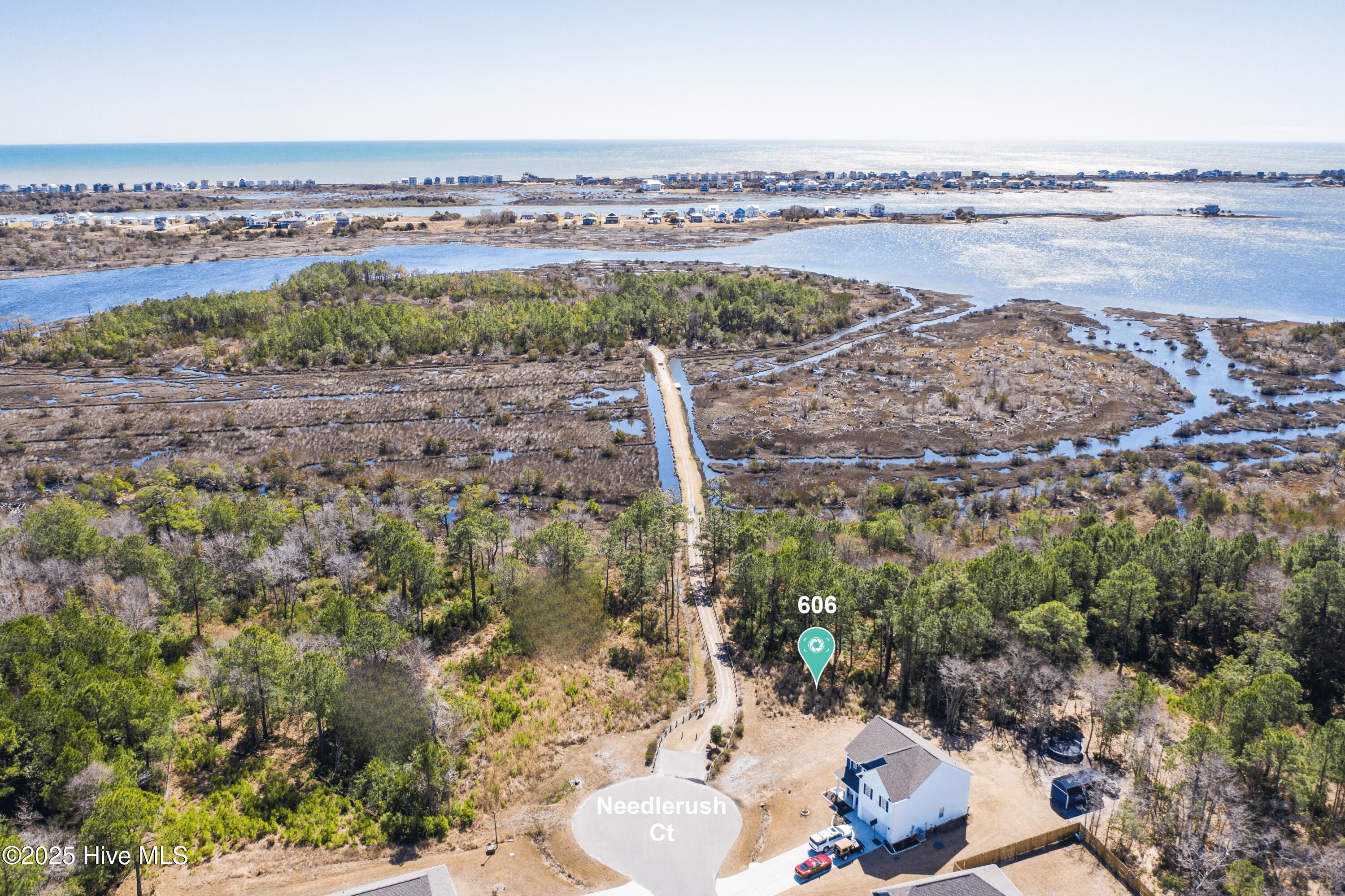 606 200 Needlerush Court image