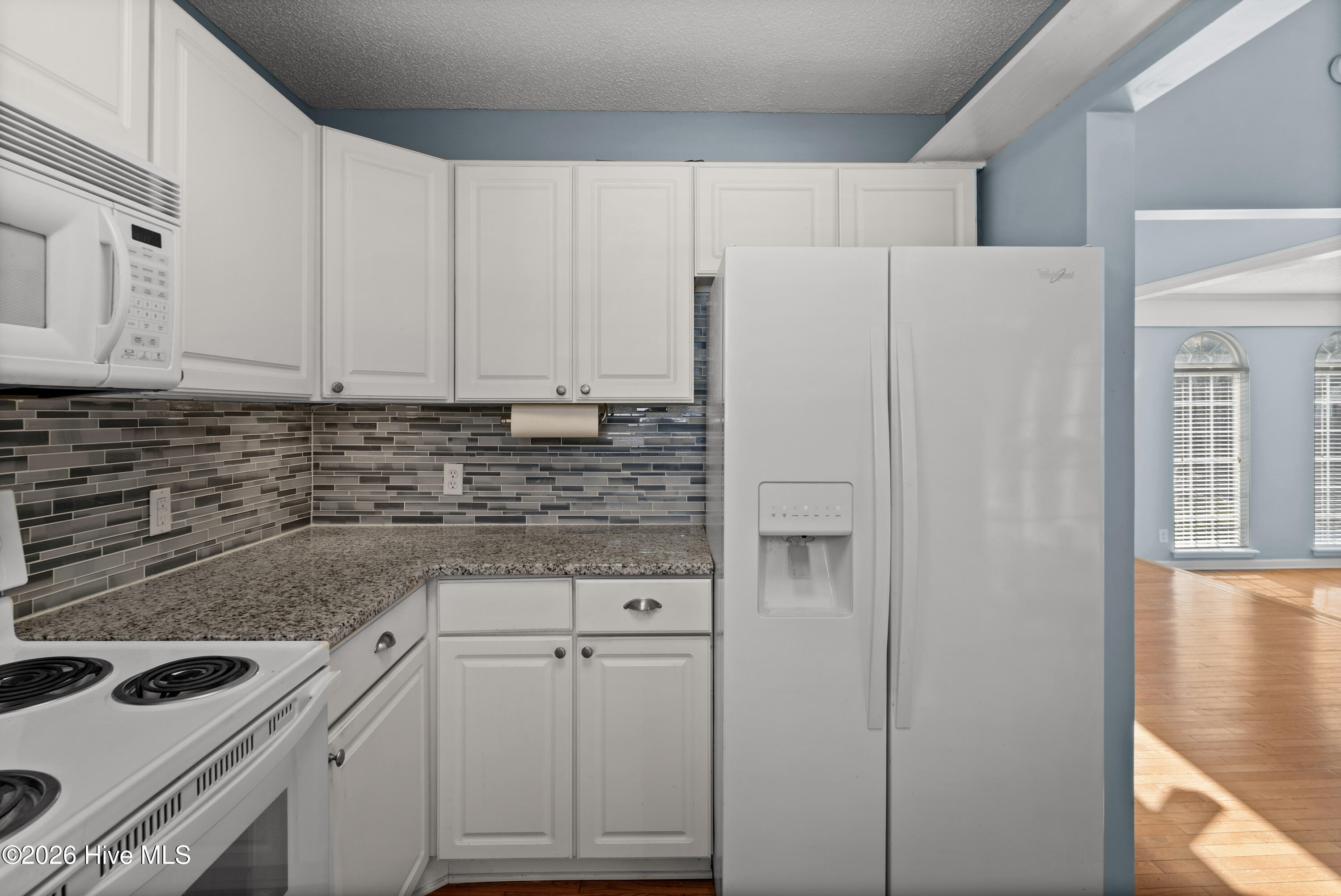 100558739 | Photo 10