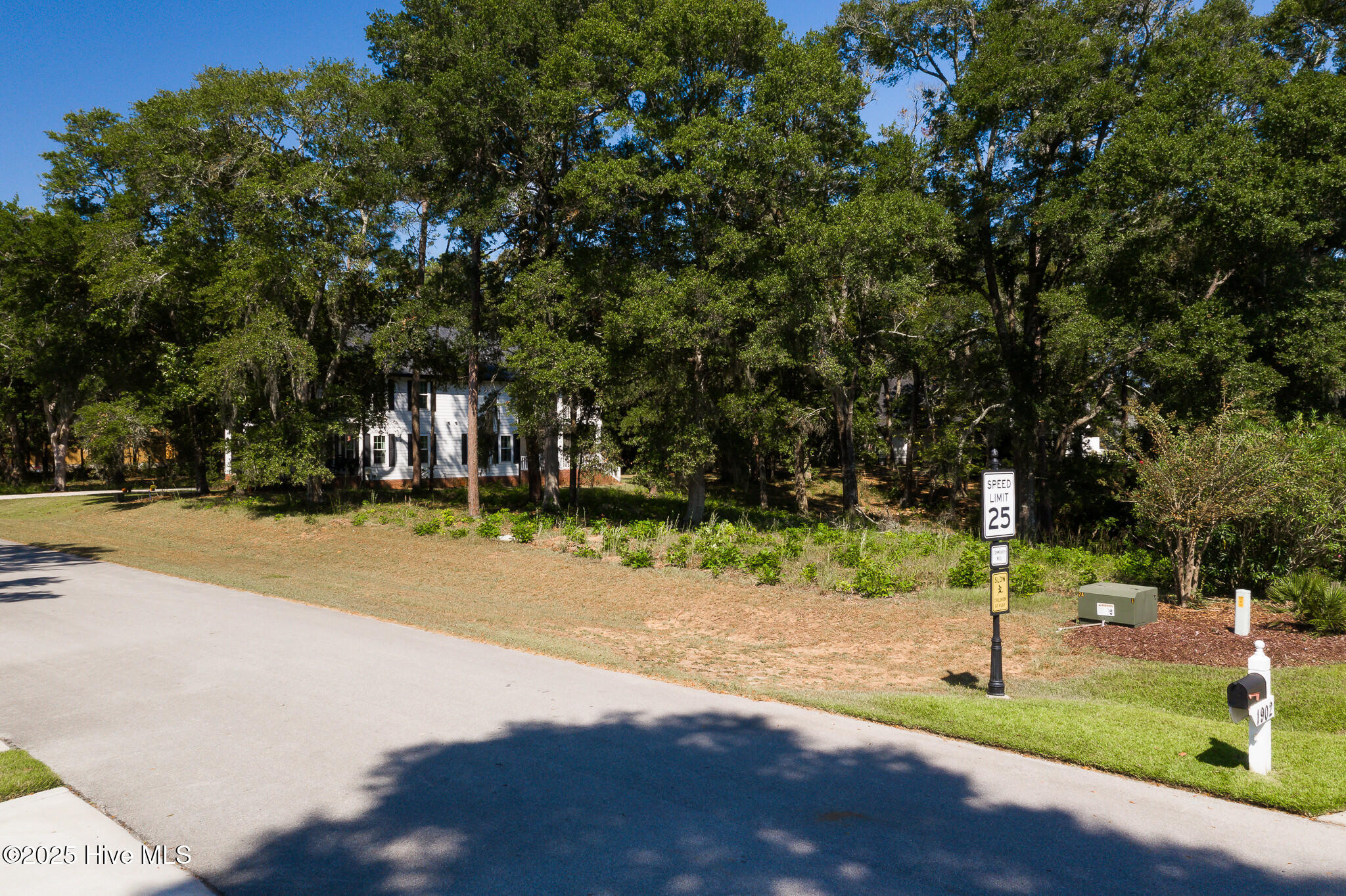 100533242 | Photo 10