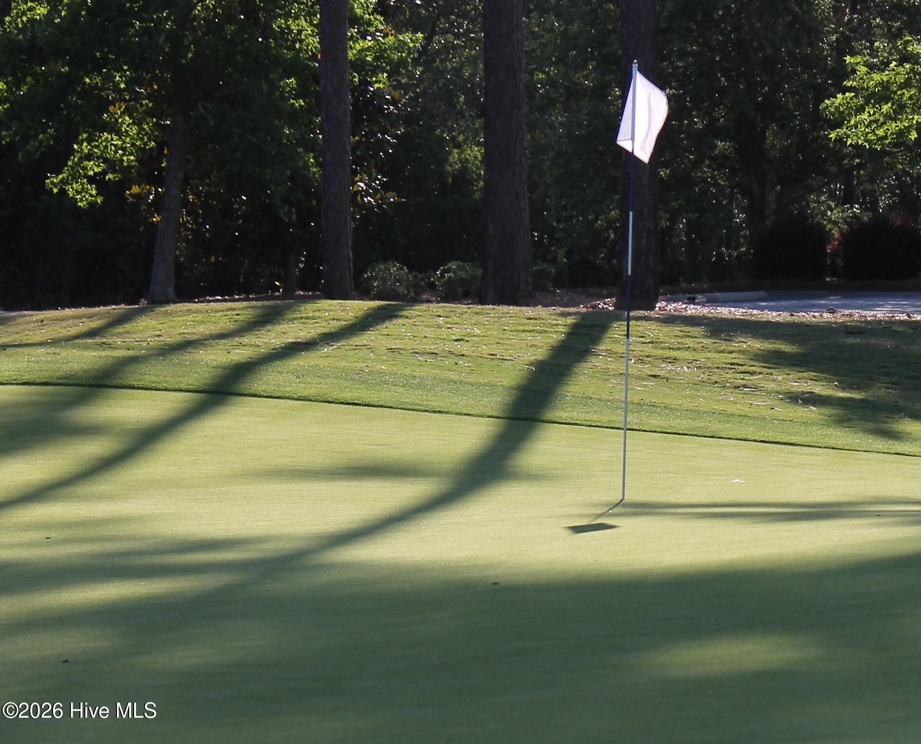 100563961 | Photo 42