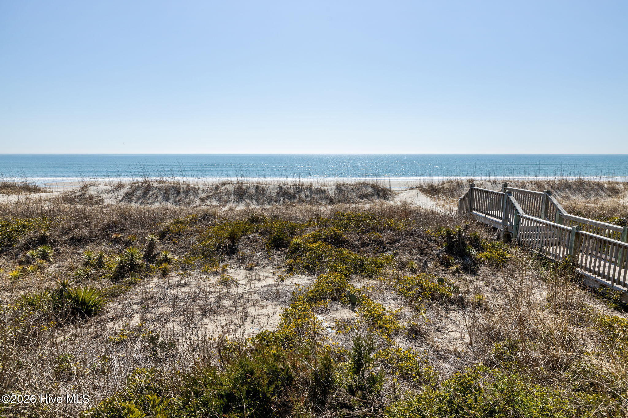 100555254 | Photo 29