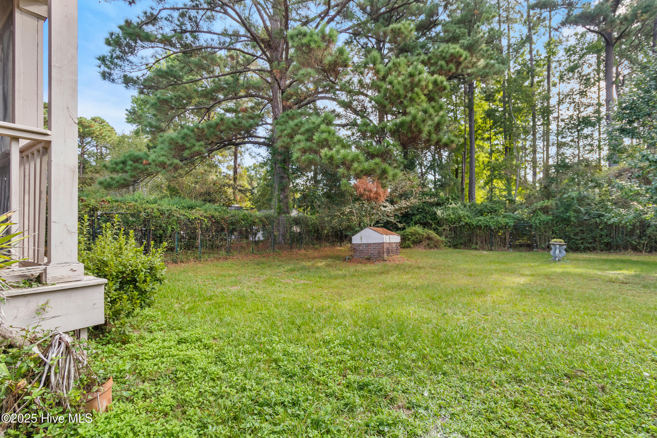 100535296 | Photo 36