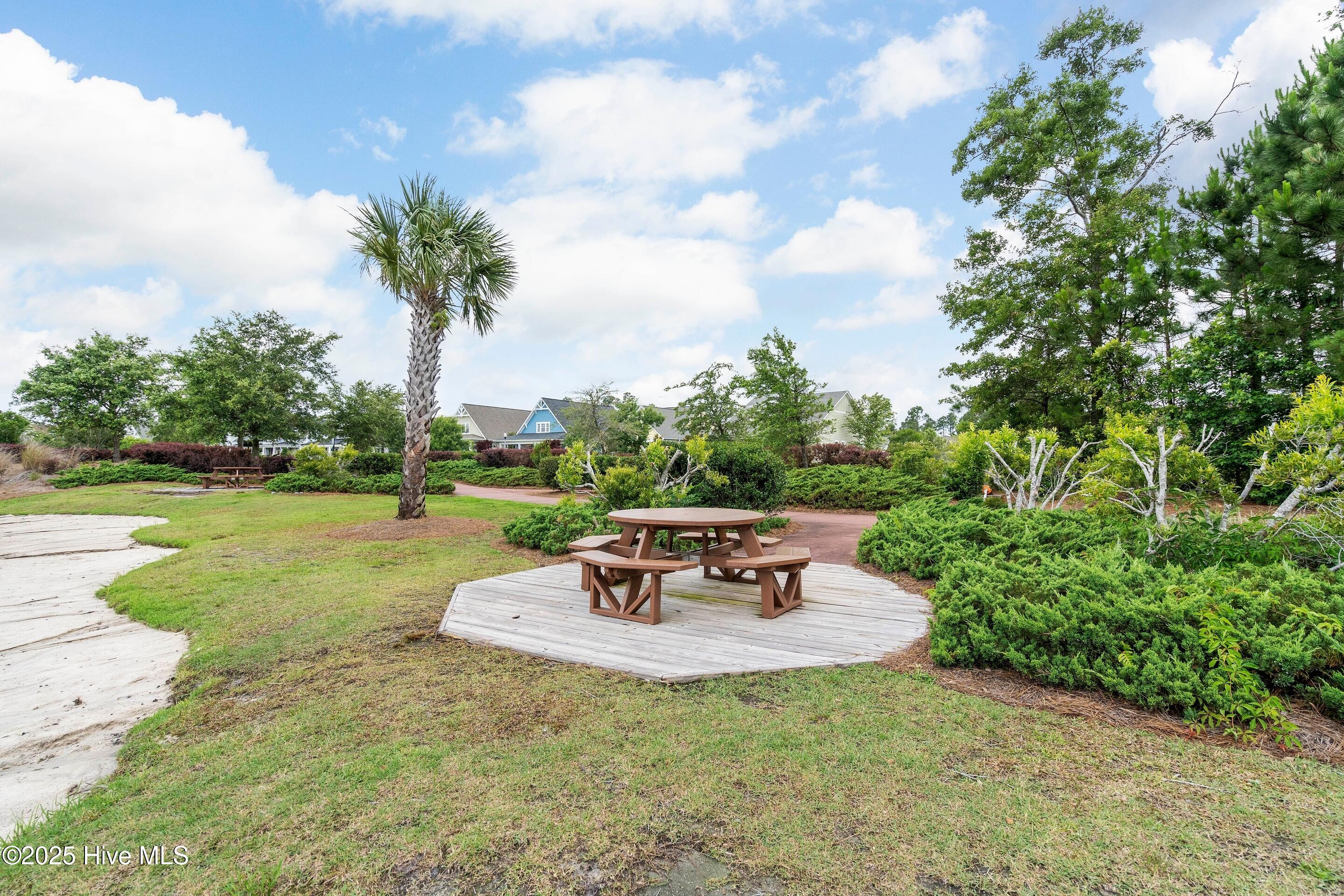 100531826 | Photo 88