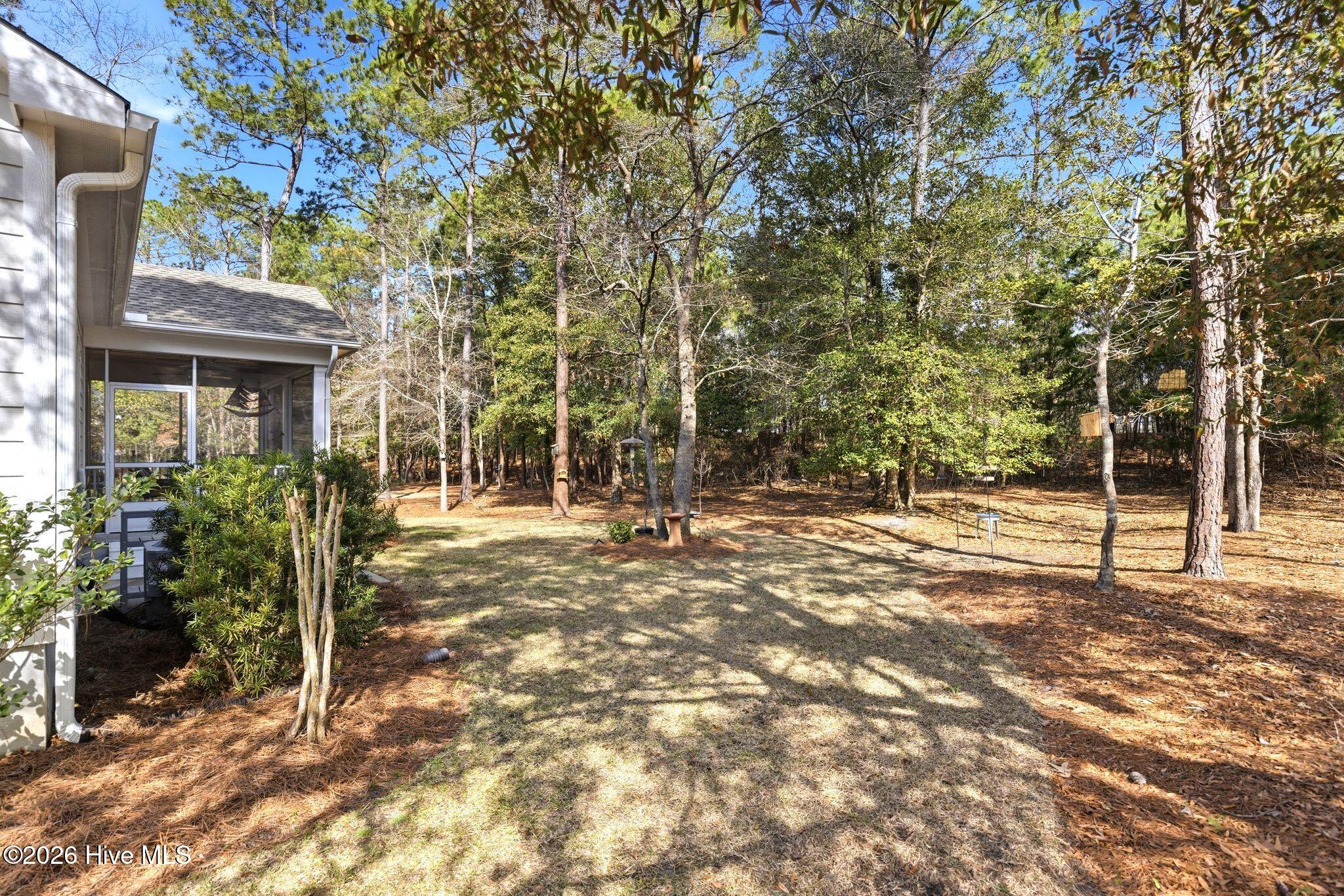 100558681 | Photo 44