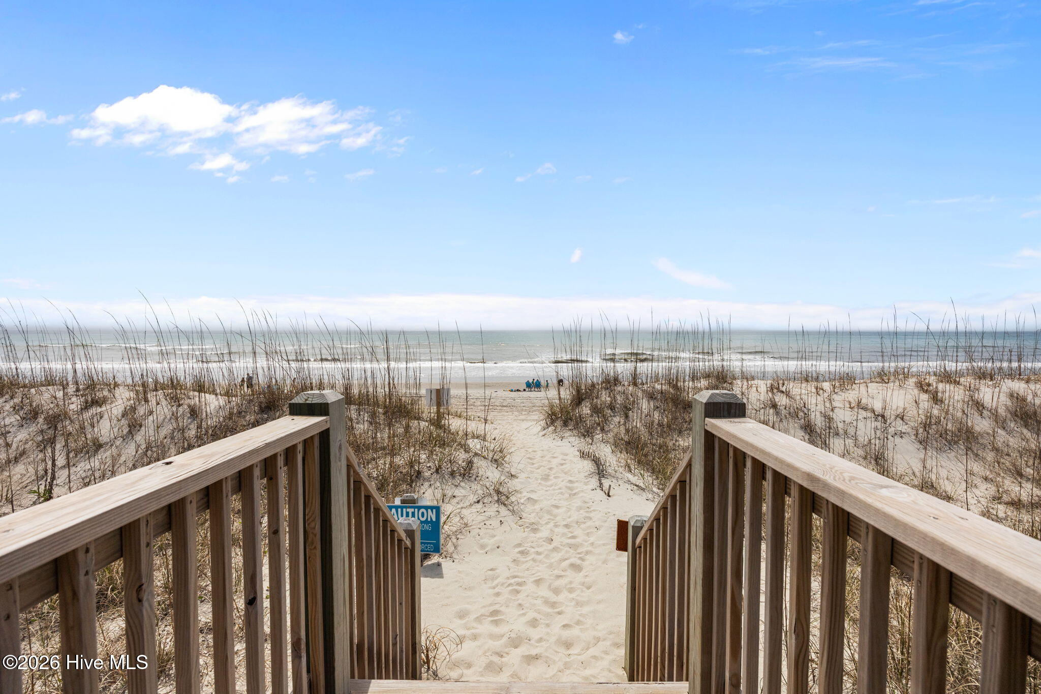 100563759 | Photo 31