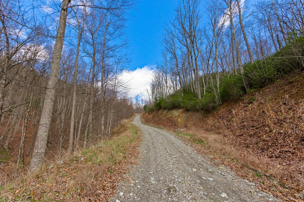 Road