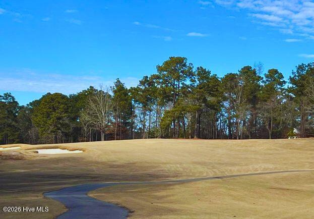 Homes for sale in Vass, NC | 433 Thimbleberry Dr, Vass, NC 28394 | MLS# 100483231