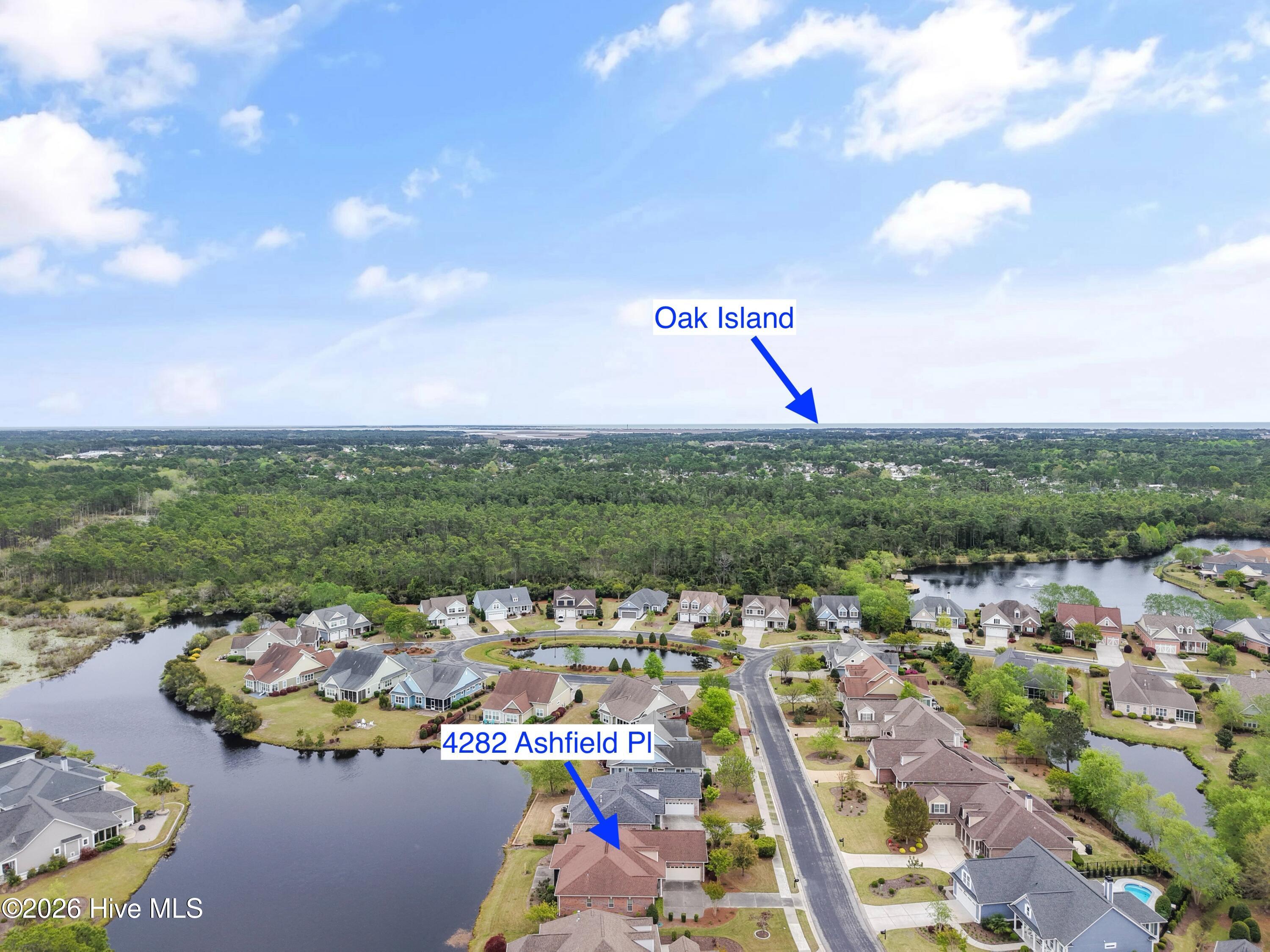 100565695 | Photo 36