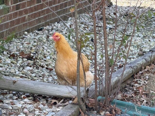 100552157 | Photo 32