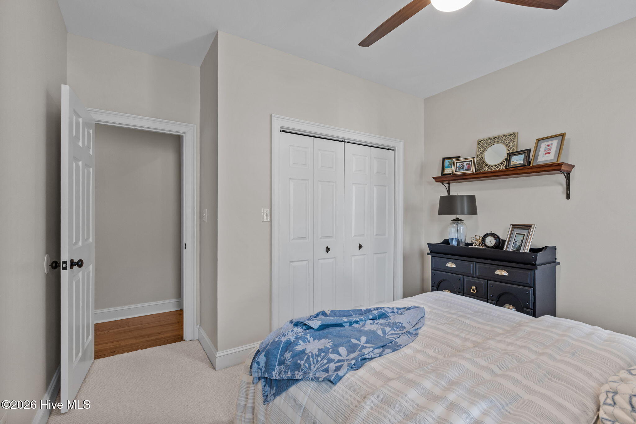 100564059 | Photo 13