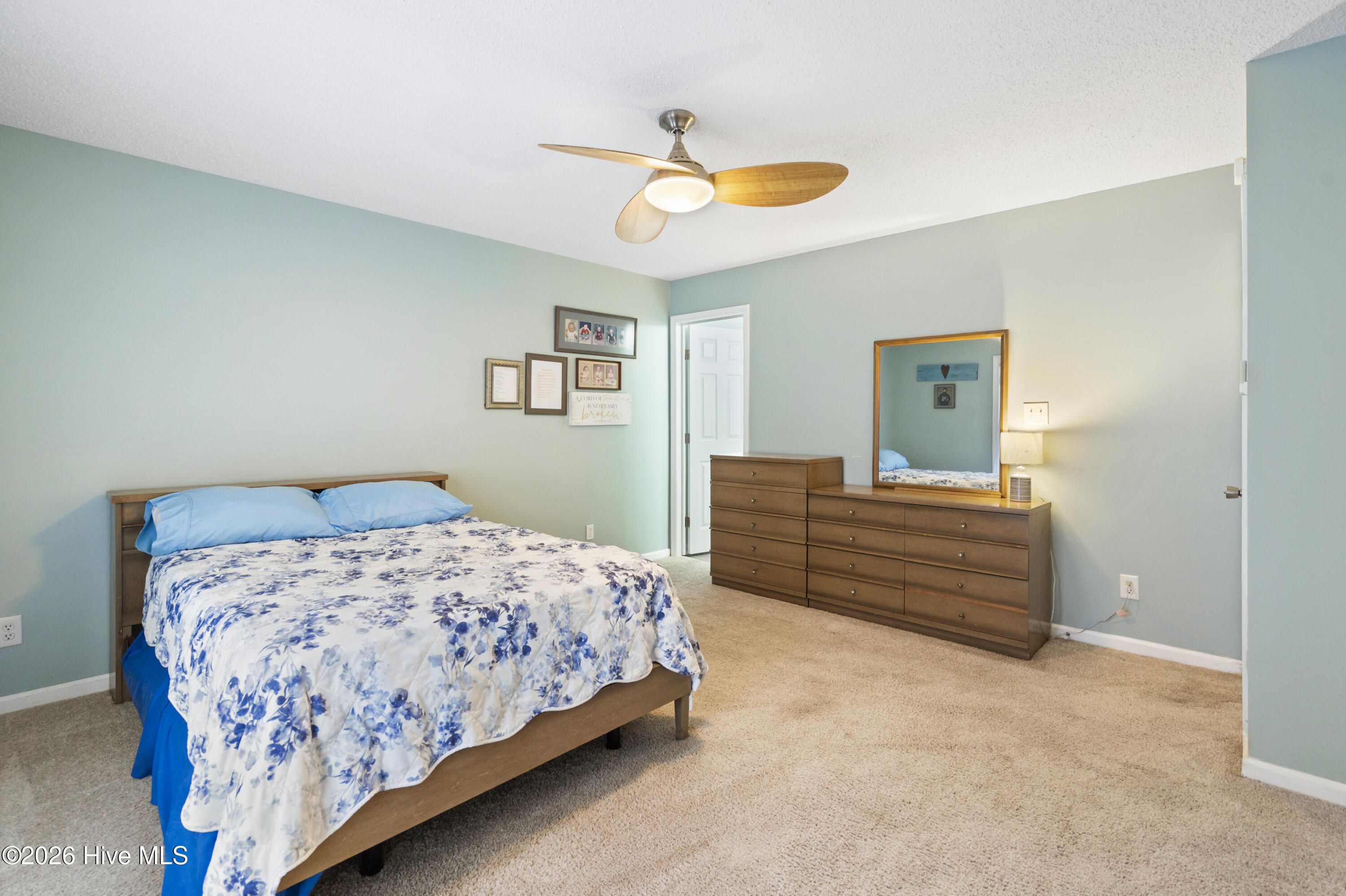 100553037 | Photo 18